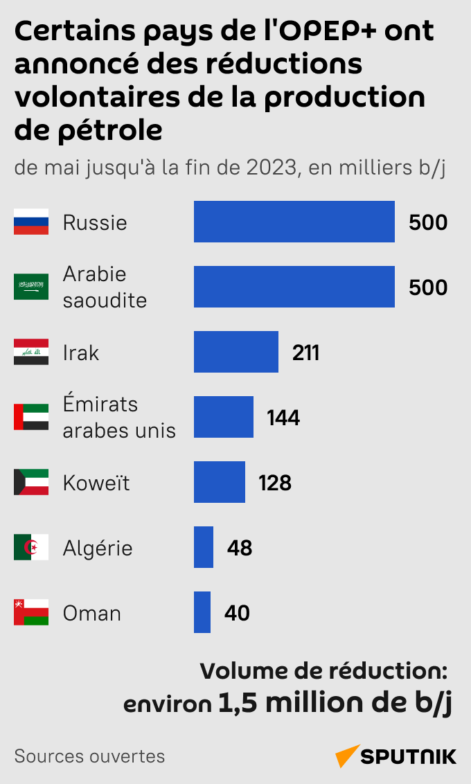 Quels pays de l’OPEP+ réduisent leur production de pétrole en 2023  - Sputnik Afrique