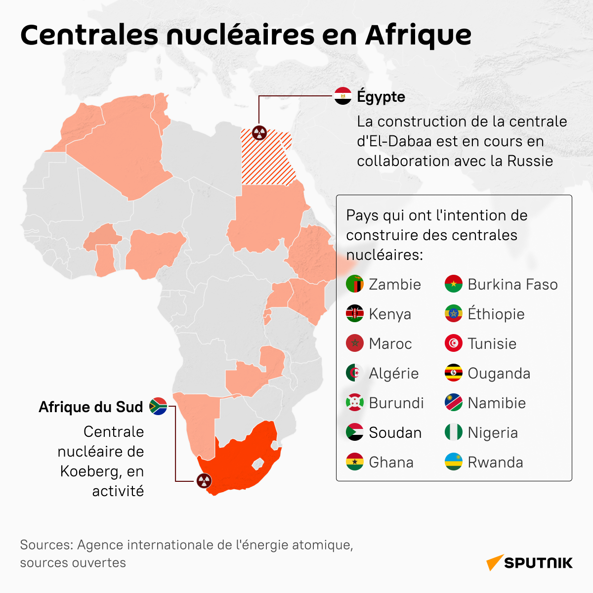 Centrales nucléaires en Afrique - Sputnik Afrique