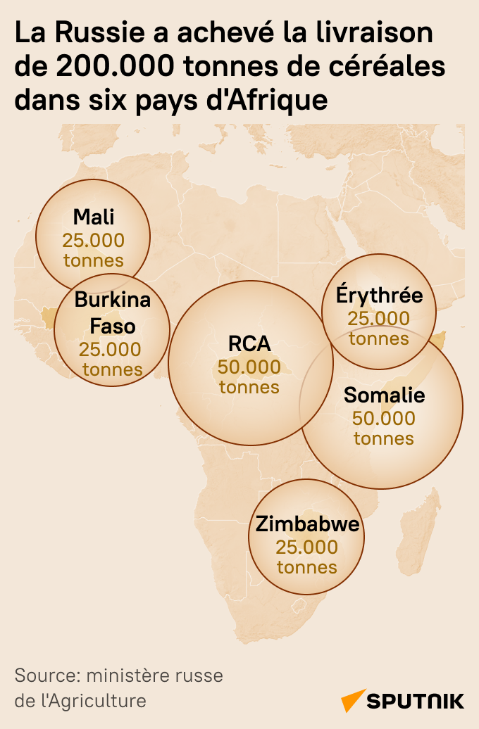 Livraison de 200.000 tonnes de céréales gratuites dans six pays d'Afrique - Sputnik Afrique