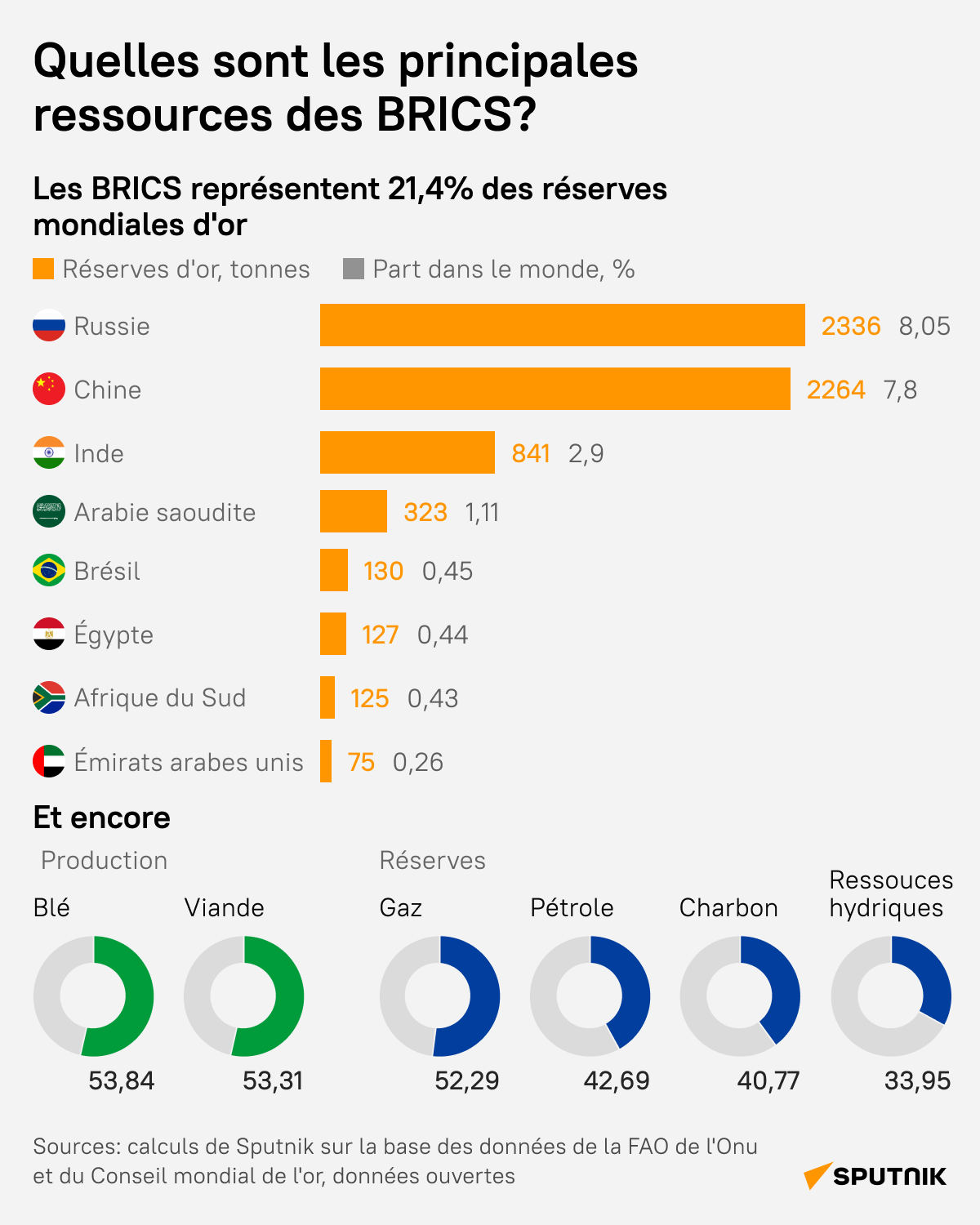 Quelles sont les principales ressources des BRICS? - Sputnik Afrique