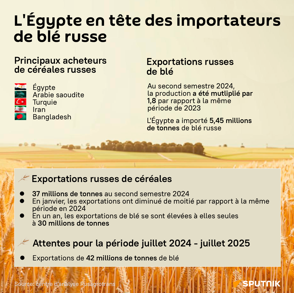 L'Égypte en tête des importateurs de blé russe - Sputnik Afrique
