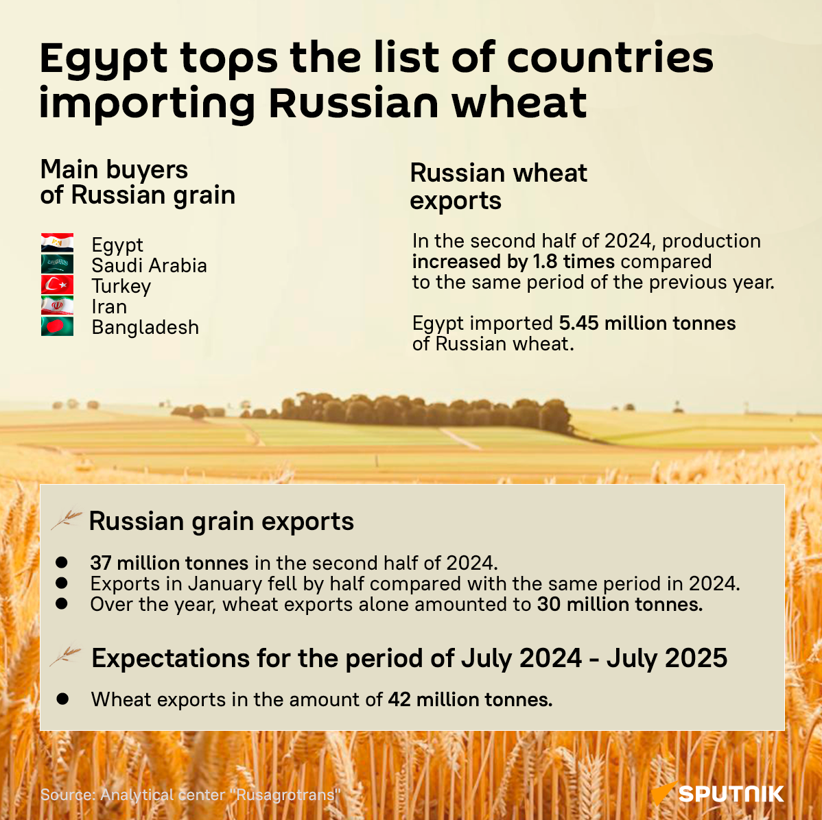 Egypt Becomes Top Importer of Russian Grain in First Half of Agricultural Year 2024/25 - Sputnik Africa