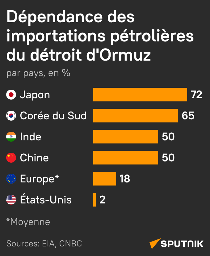 Dépendance des importations pétrolières du détroit d'Ormuz - Sputnik Afrique