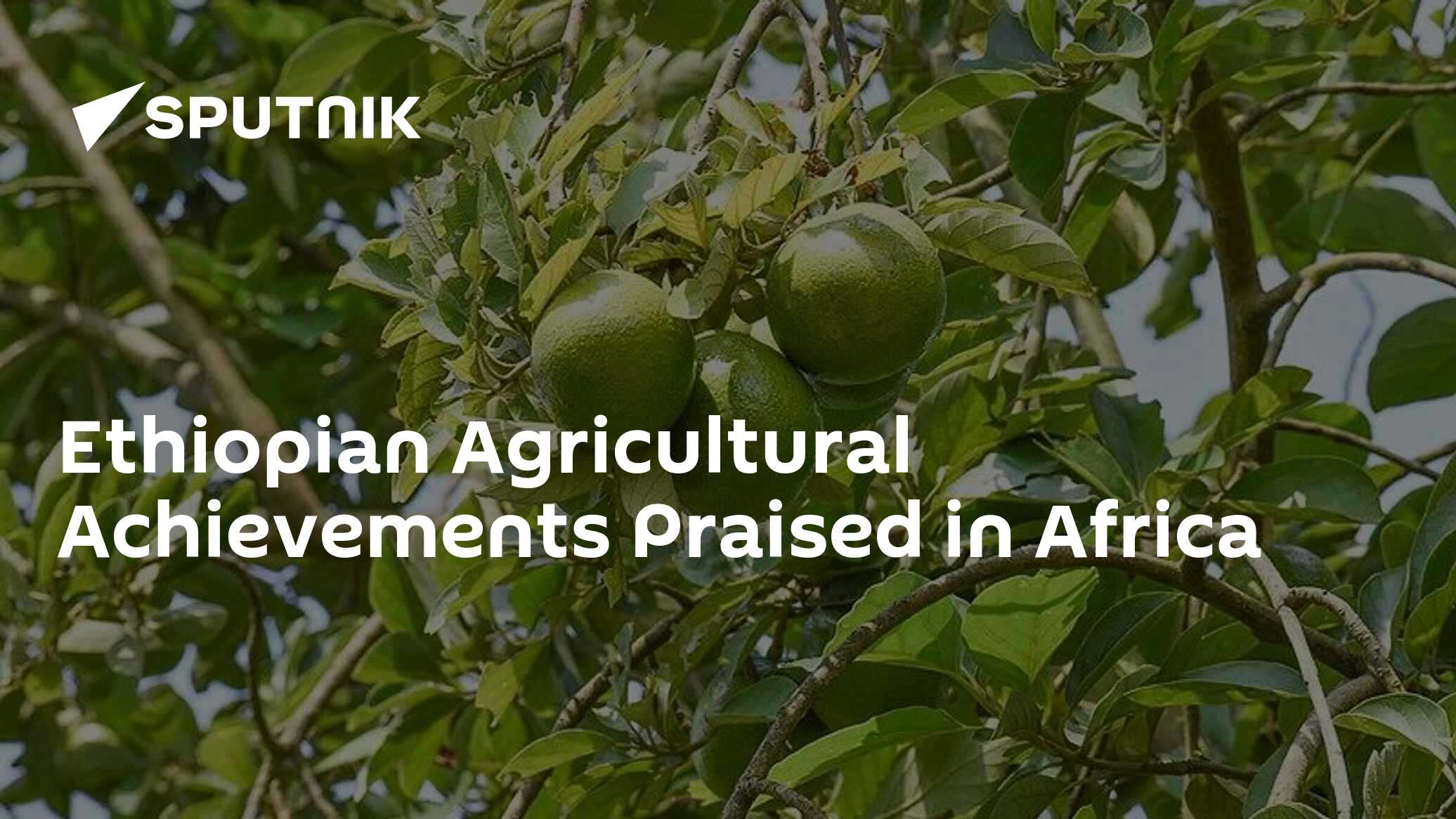 2022 Agricultural Milestones: A Deep Dive into Global Achievements