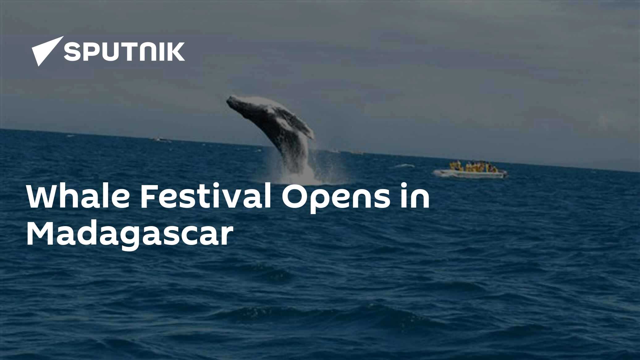 Whale Festival Opens in Madagascar - 16.07.2023, Sputnik Africa