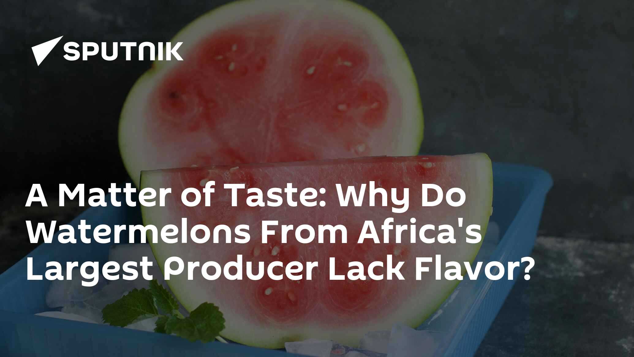 A Matter of Taste Why Do Watermelons From Africa's Largest Producer