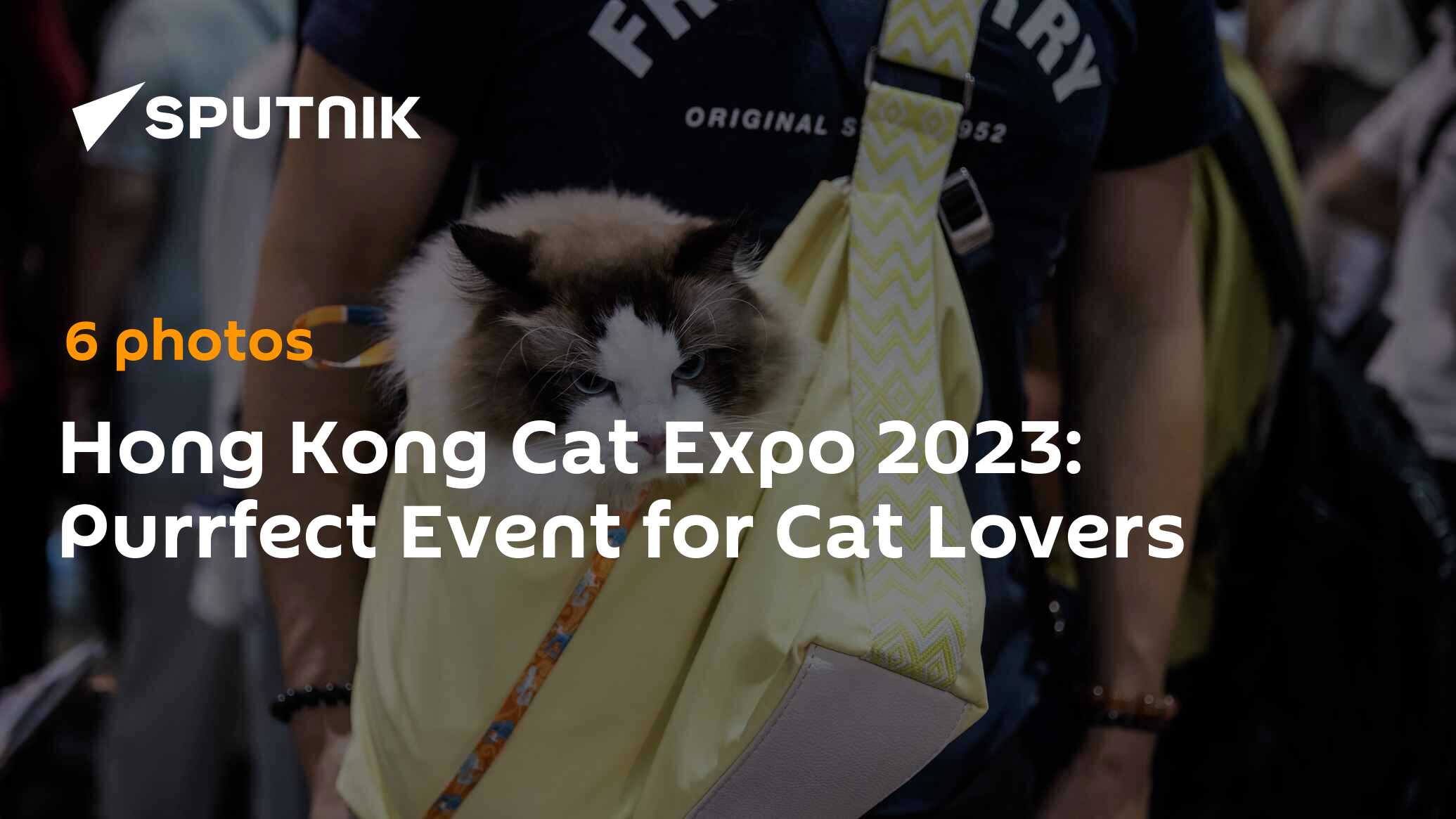 Hong Kong Cat Expo 2023 Purrfect Event for Cat Lovers 26.08.2023