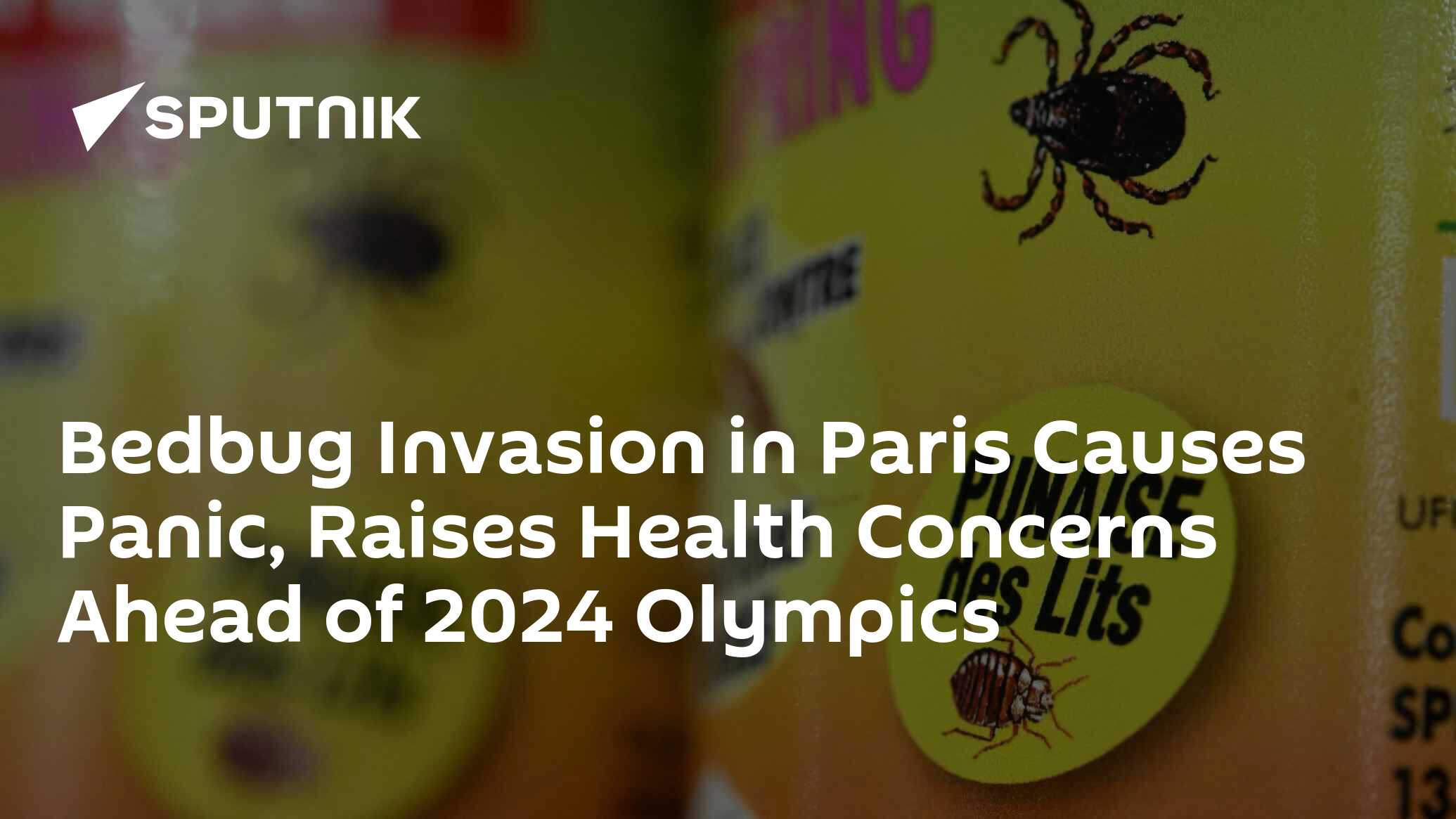 Bedbug Invasion In Paris Causes Panic Raises Health Concerns Ahead Of 2024 Olympics 0410 0038