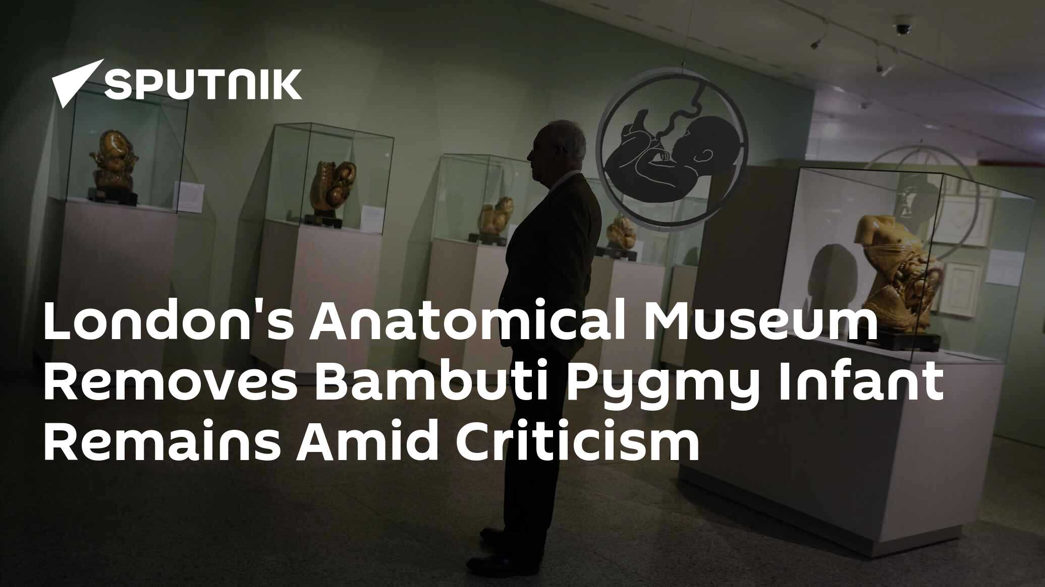 London's Anatomical Museum Removes Bambuti Pygmy Infant Remains Amid 