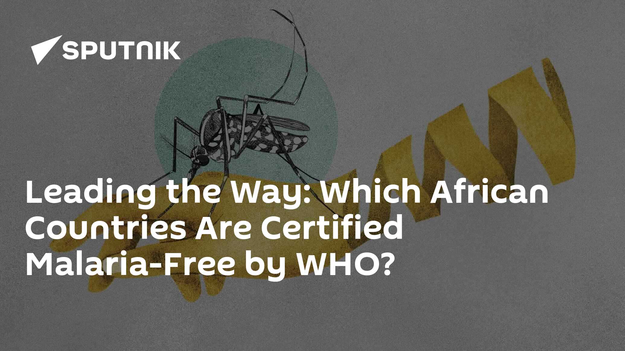 Leading The Way Which African Countries Are Certified Malaria Free By   1064637127 