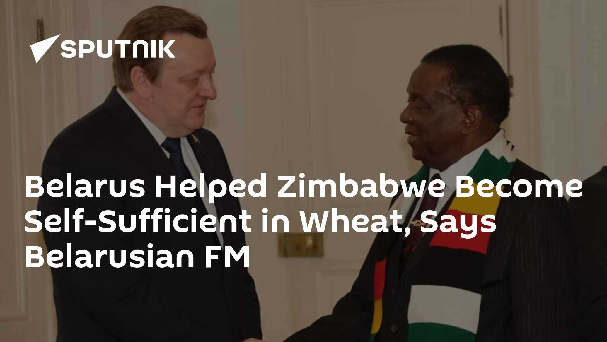 Belarus Helped Zimbabwe Become Self-Sufficient in Wheat, Says ...