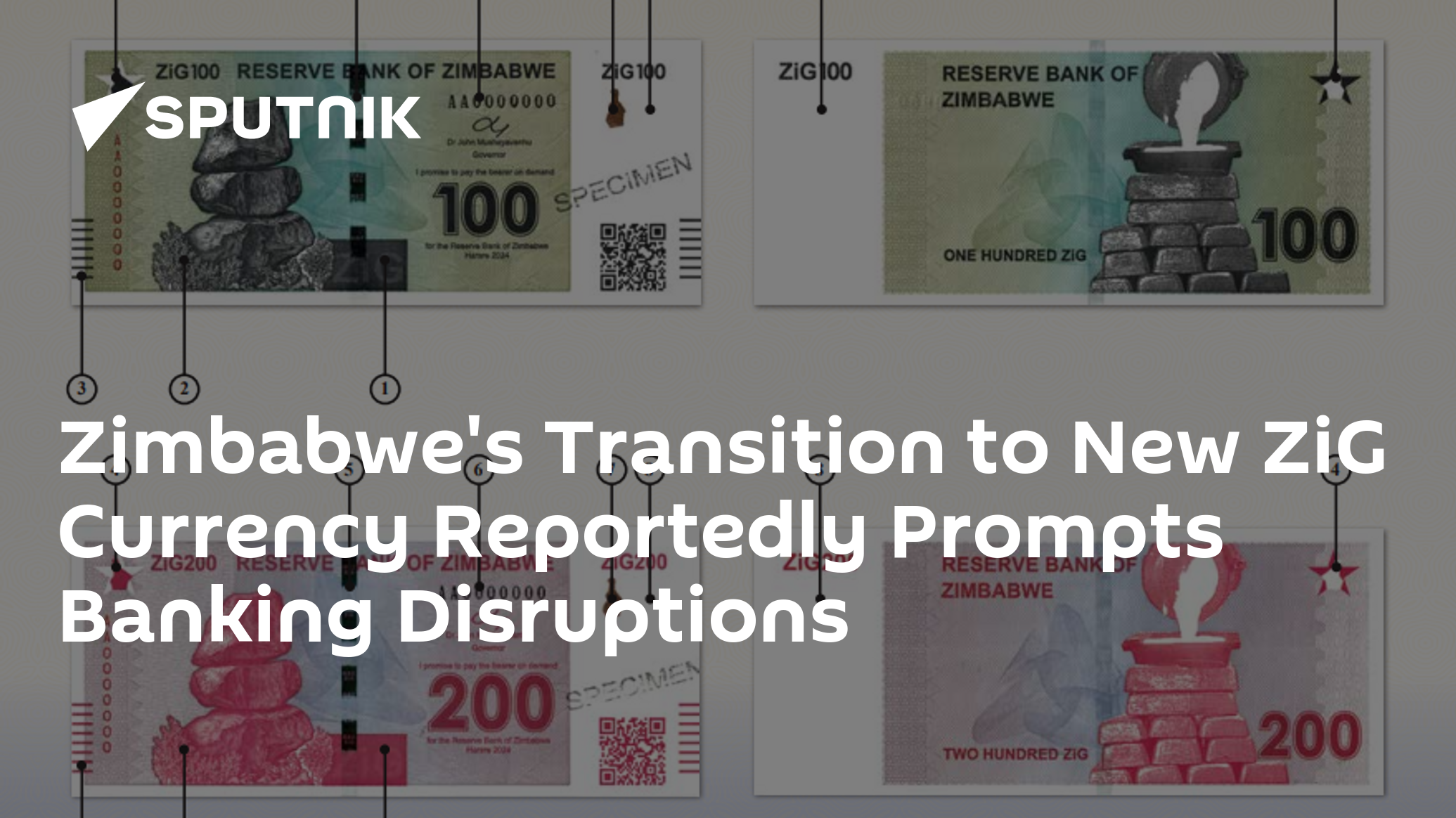 Zimbabwe's Transition to New ZiG Currency Reportedly Prompts Banking ...