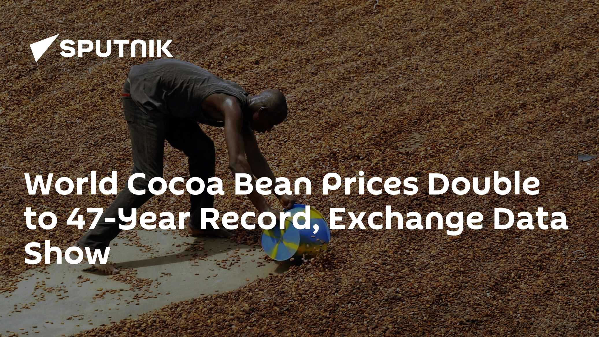 World Cocoa Bean Prices Double to 47-Year Record, Exchange Data Show ...