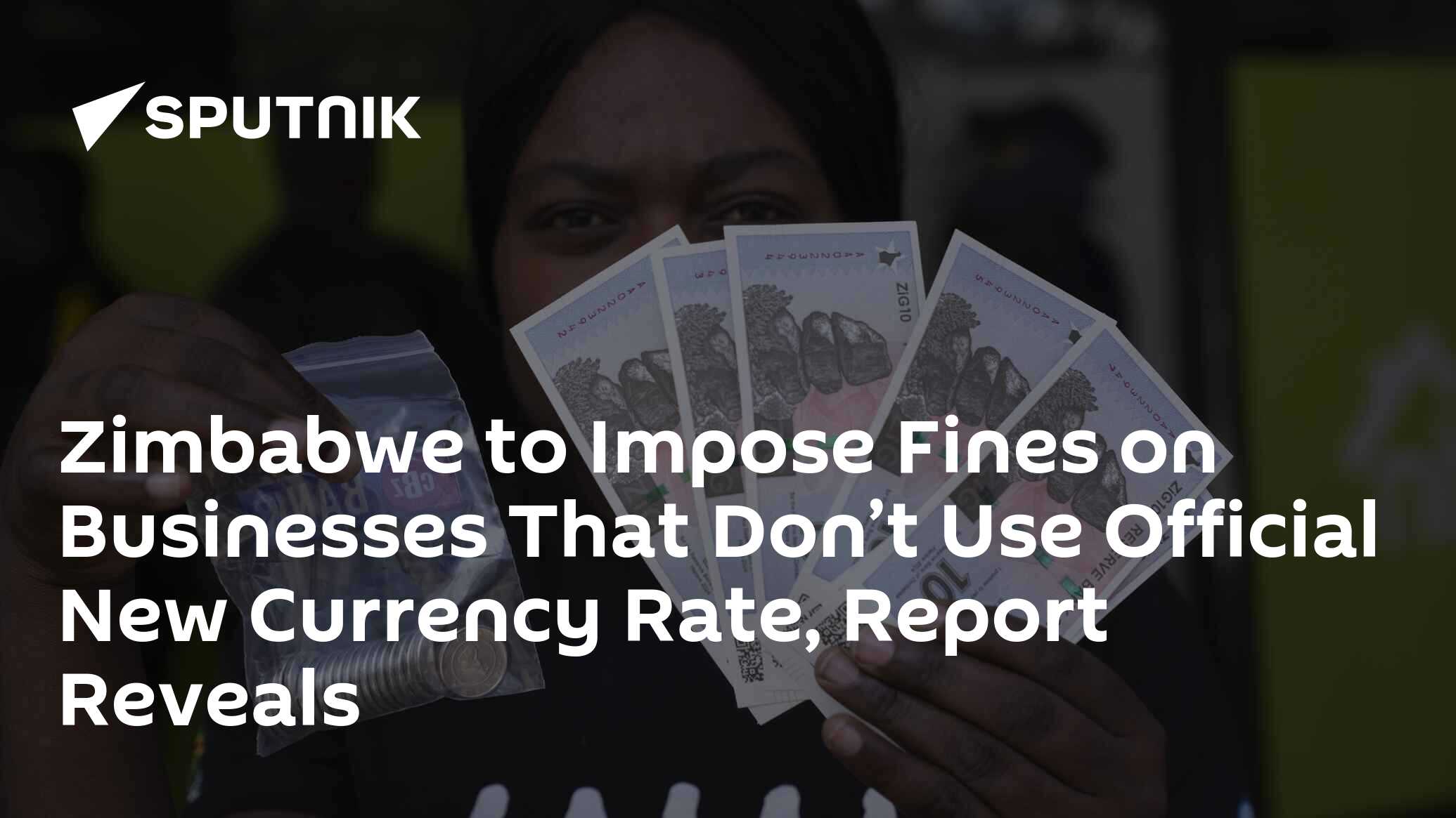 Zimbabwe to Impose Fines on Businesses That Don’t Use Official New Currency Rate, Report Reveals