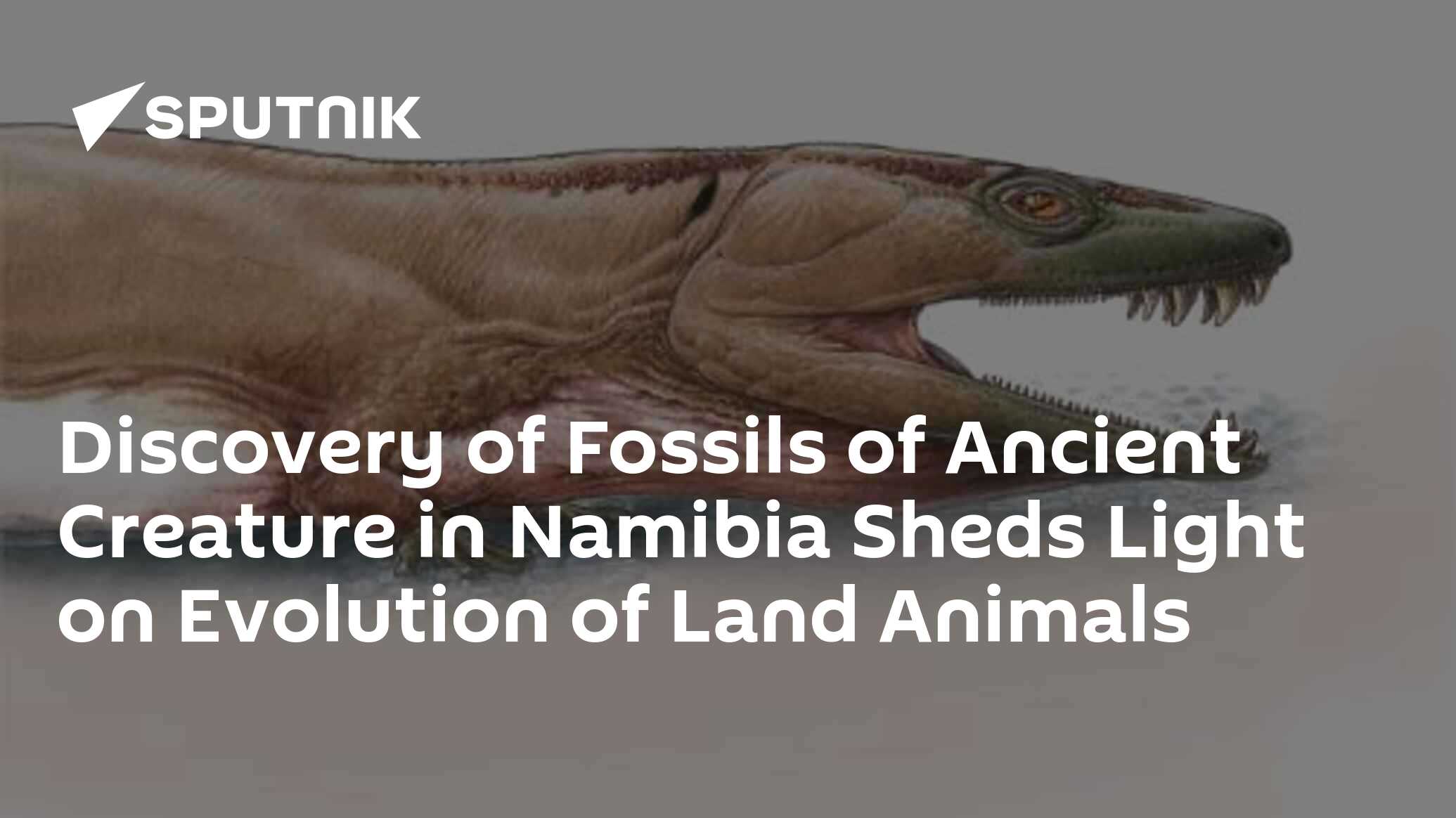 Discovery of Fossils of Ancient Creature in Namibia Sheds Light on ...