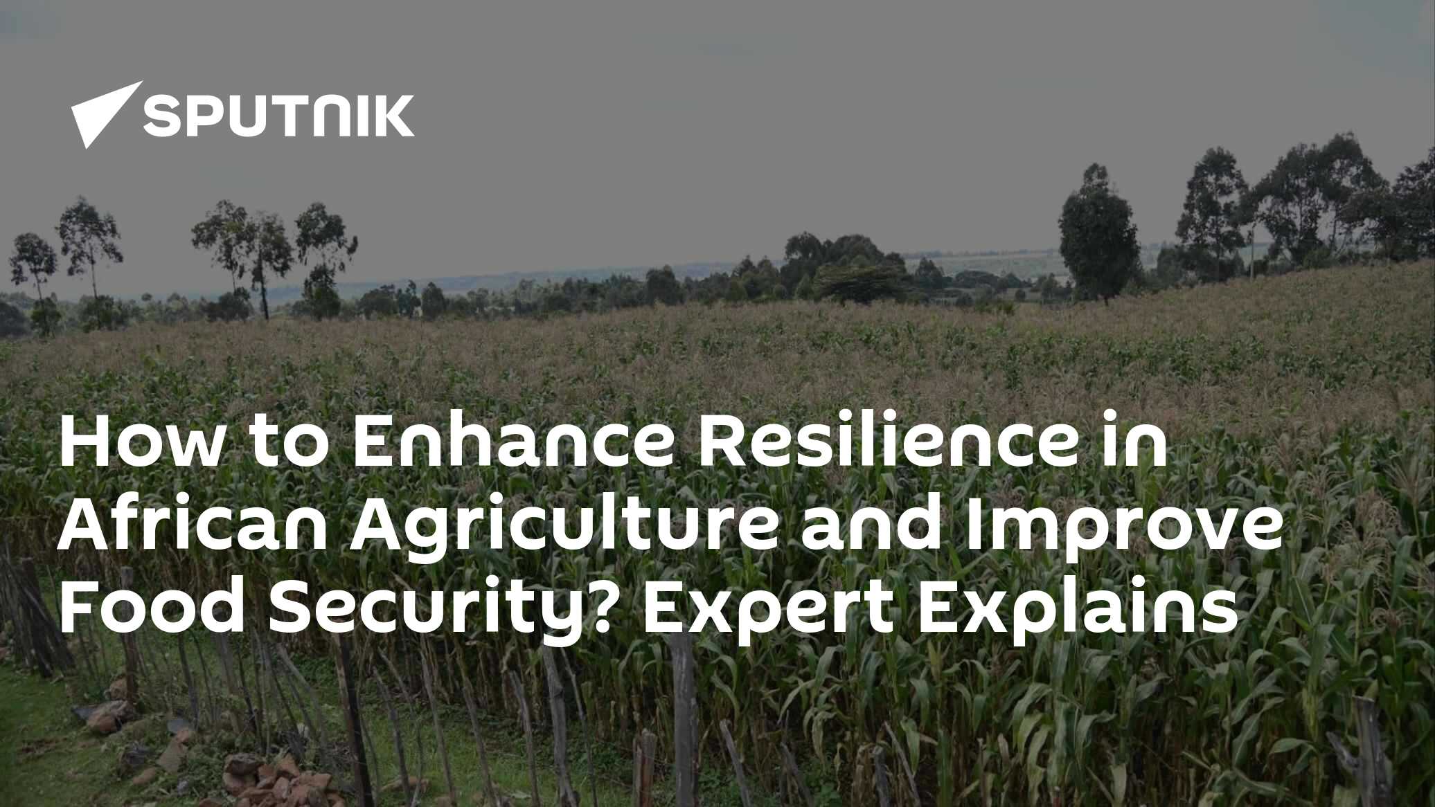 How to Enhance Resilience in African Agriculture and Improve Food ...