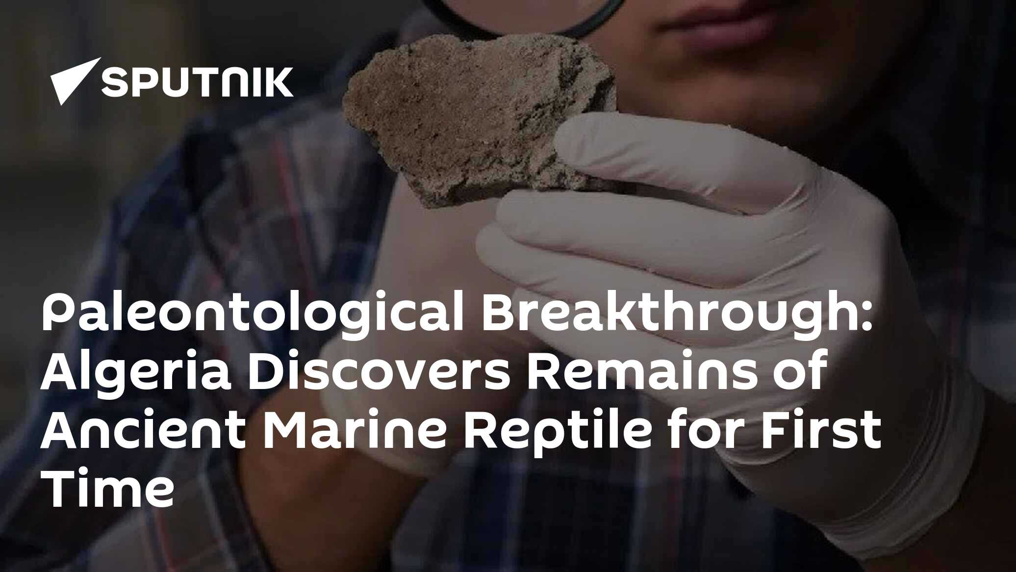 Paleontological Breakthrough: Algeria Discovers Remains of Ancient ...