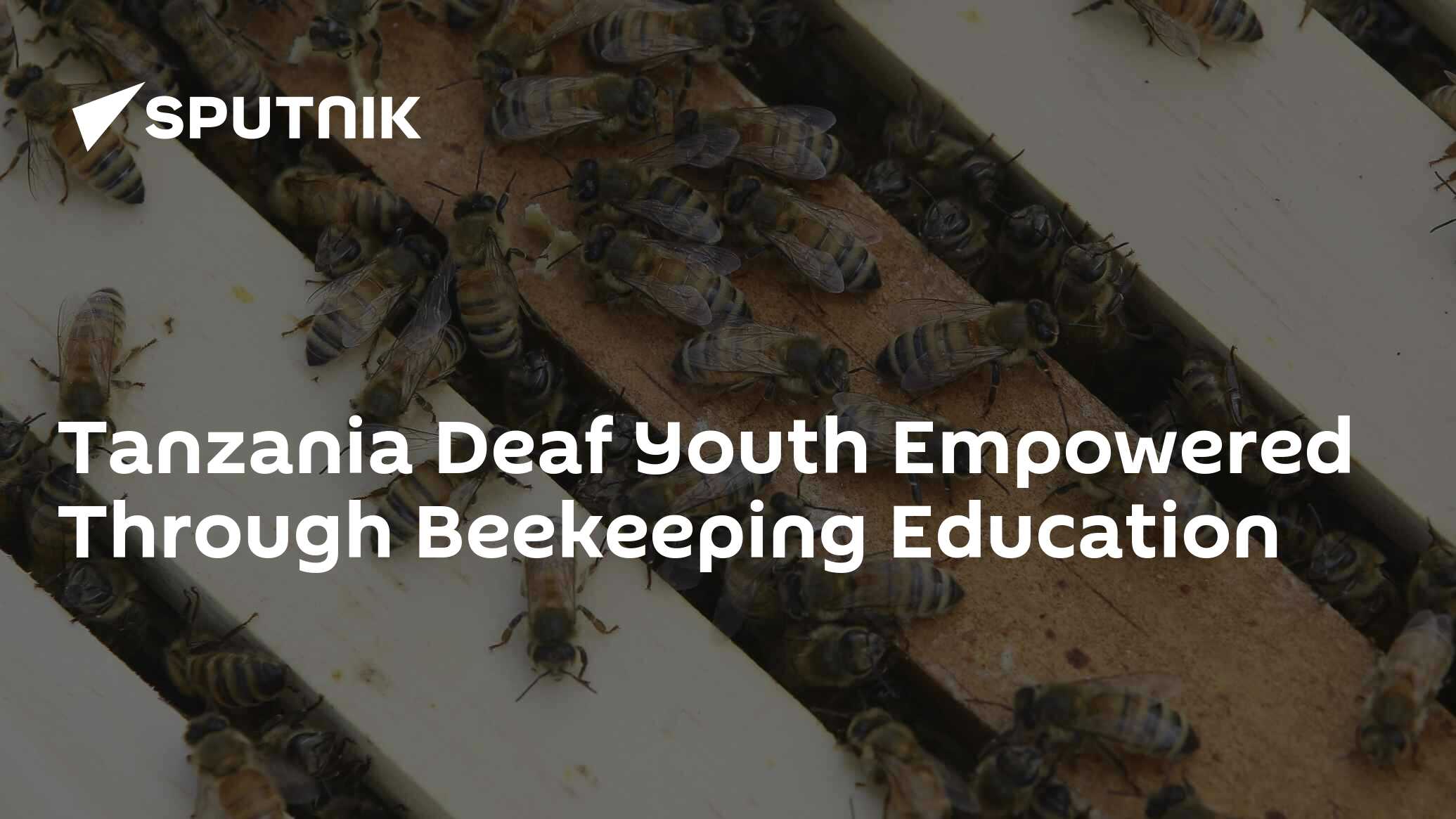 Tanzania Deaf Youth Empowered Through Beekeeping Education