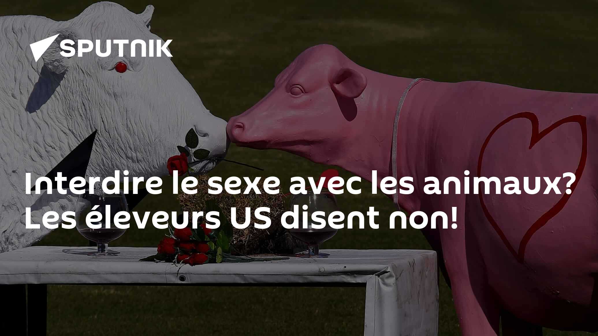 Interdire le sexe avec les animaux? Les éleveurs US disent non! -  03.03.2016, Sputnik Afrique