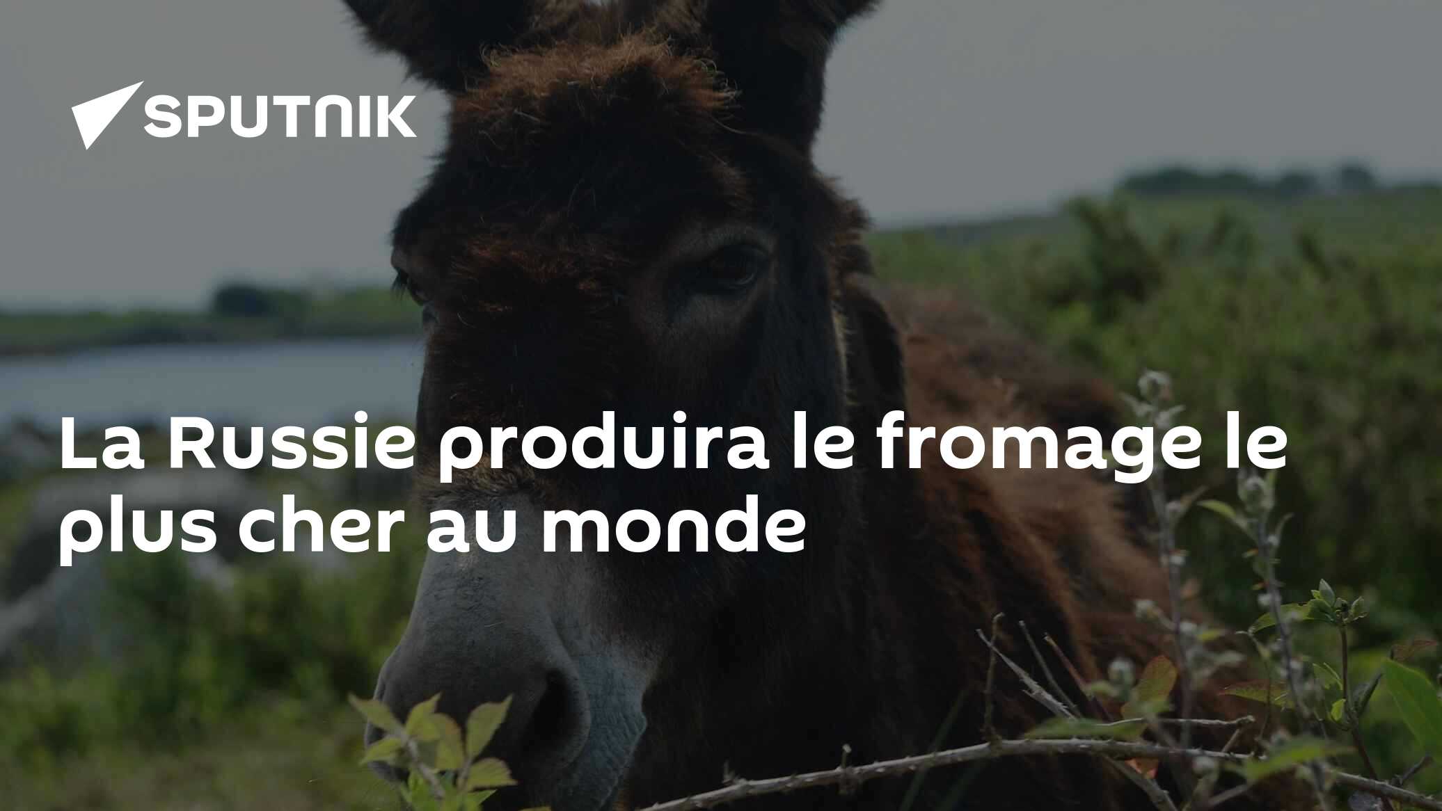 fr.sputniknews.com