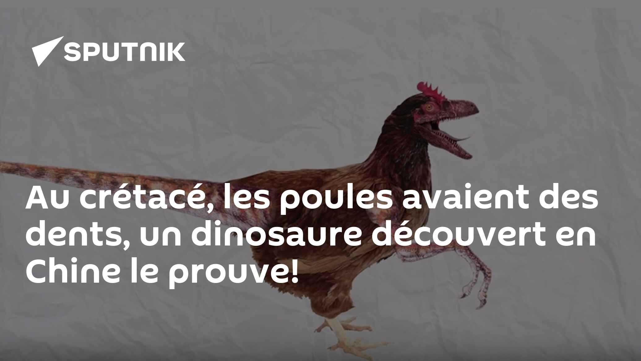 Au crétacé, les poules avaient des dents, un dinosaure découvert