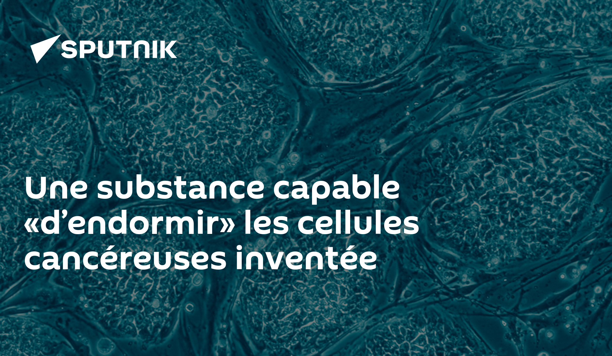 Une substance capable «d’endormir» les cellules cancéreuses inventée — free download