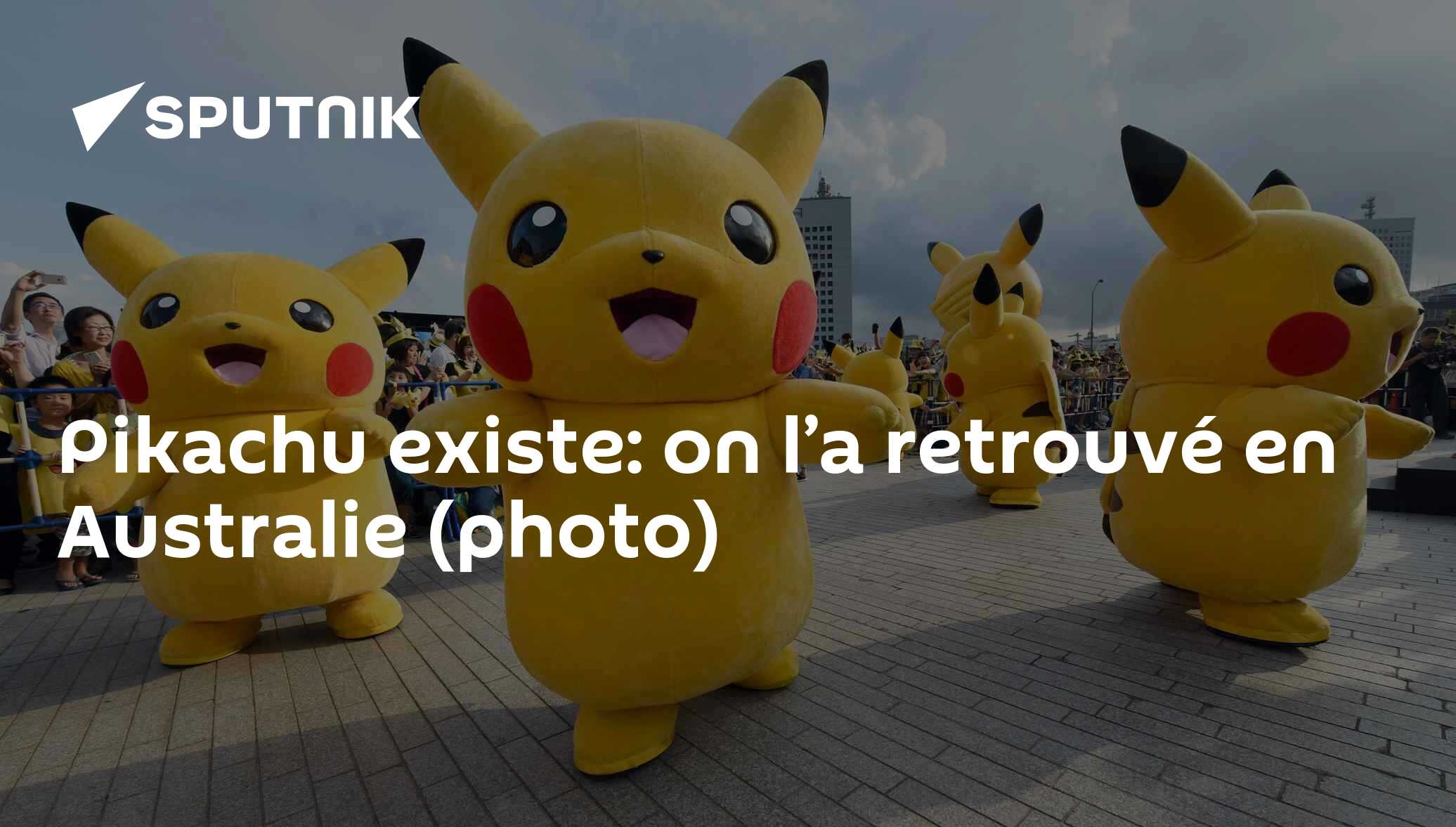 Pikachu Mutations Pikachu existe: on l’a retrouvé en Australie (photo) - 04.12.2018 ...