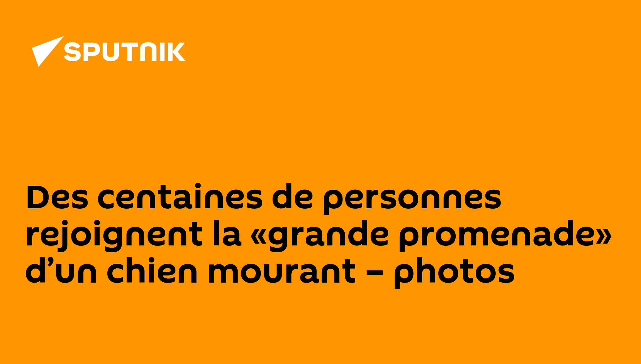 Des centaines de personnes rejoignent la «grande promenade» d’un chien