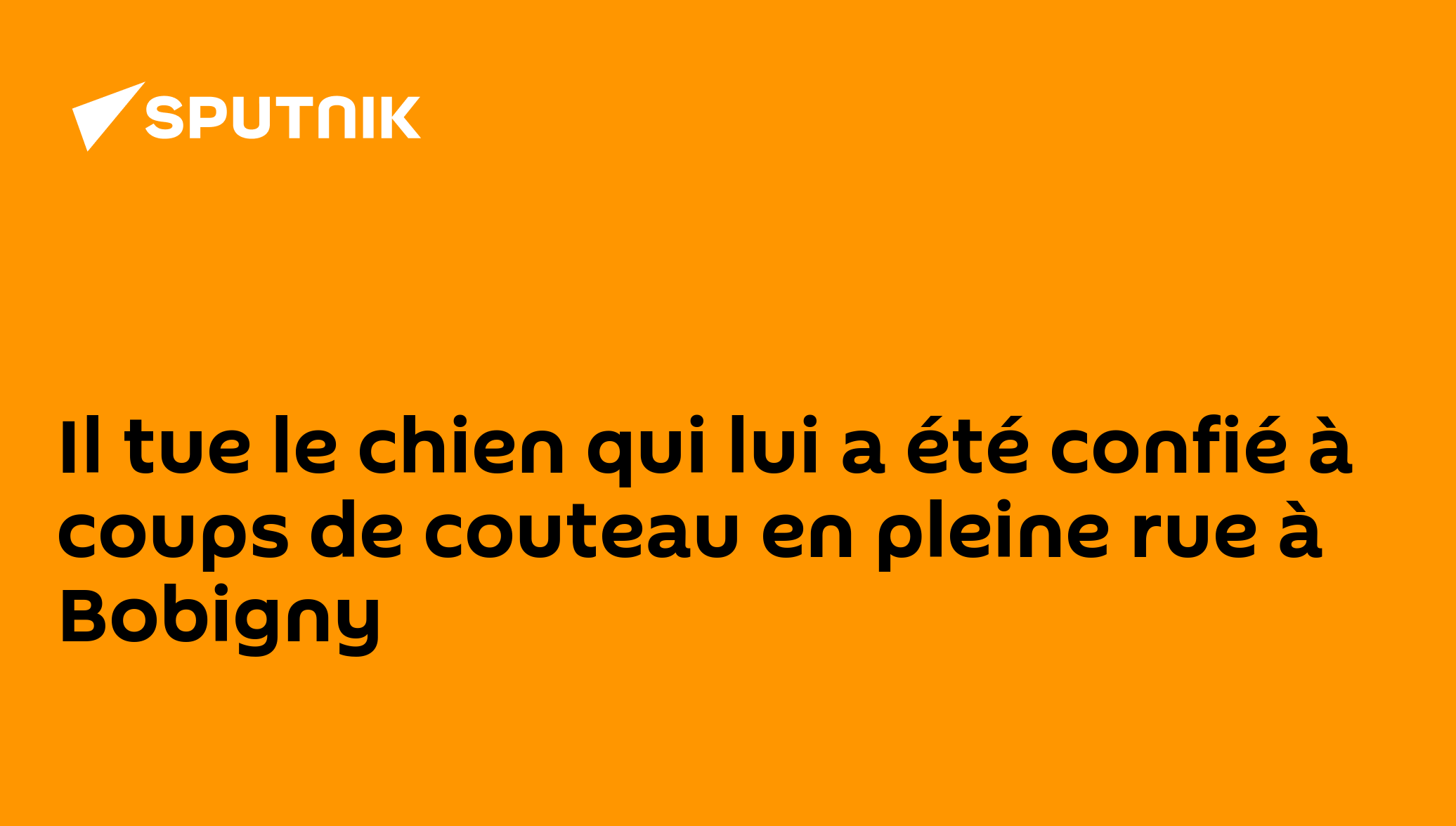 Il tue le chien qui lui a été confié à coups de couteau en pleine rue à