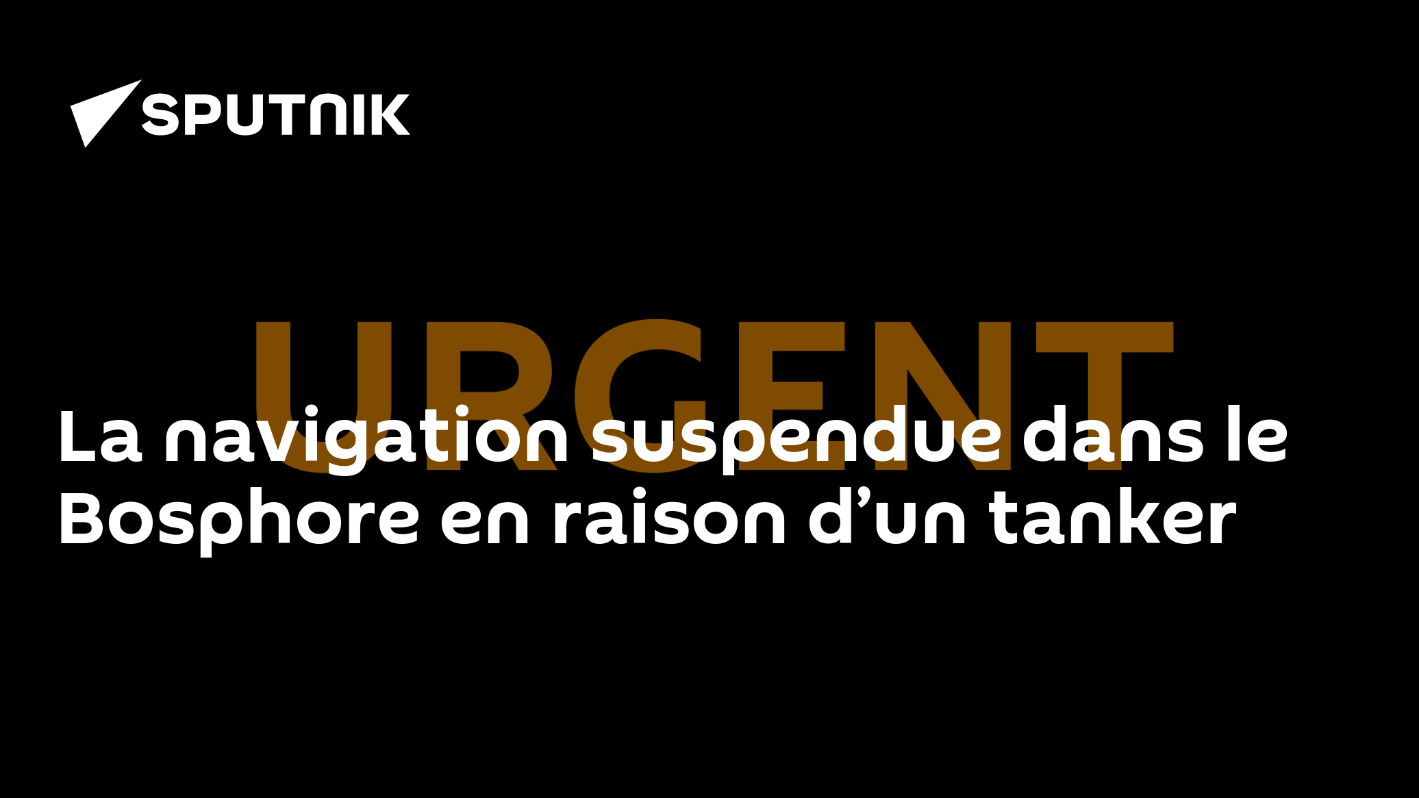 La navigation suspendue dans le Bosphore en raison d’un tanker