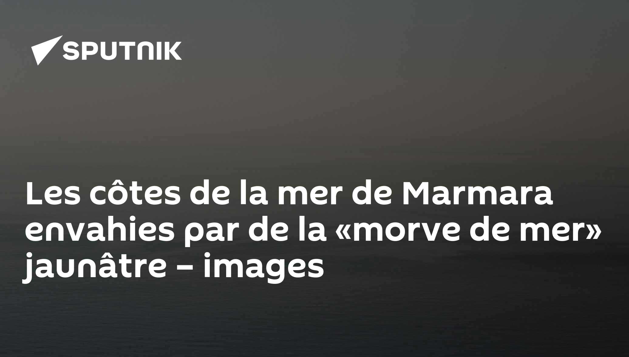 Les côtes de la mer de Marmara envahies par de la «morve de mer» jaunâtre – images