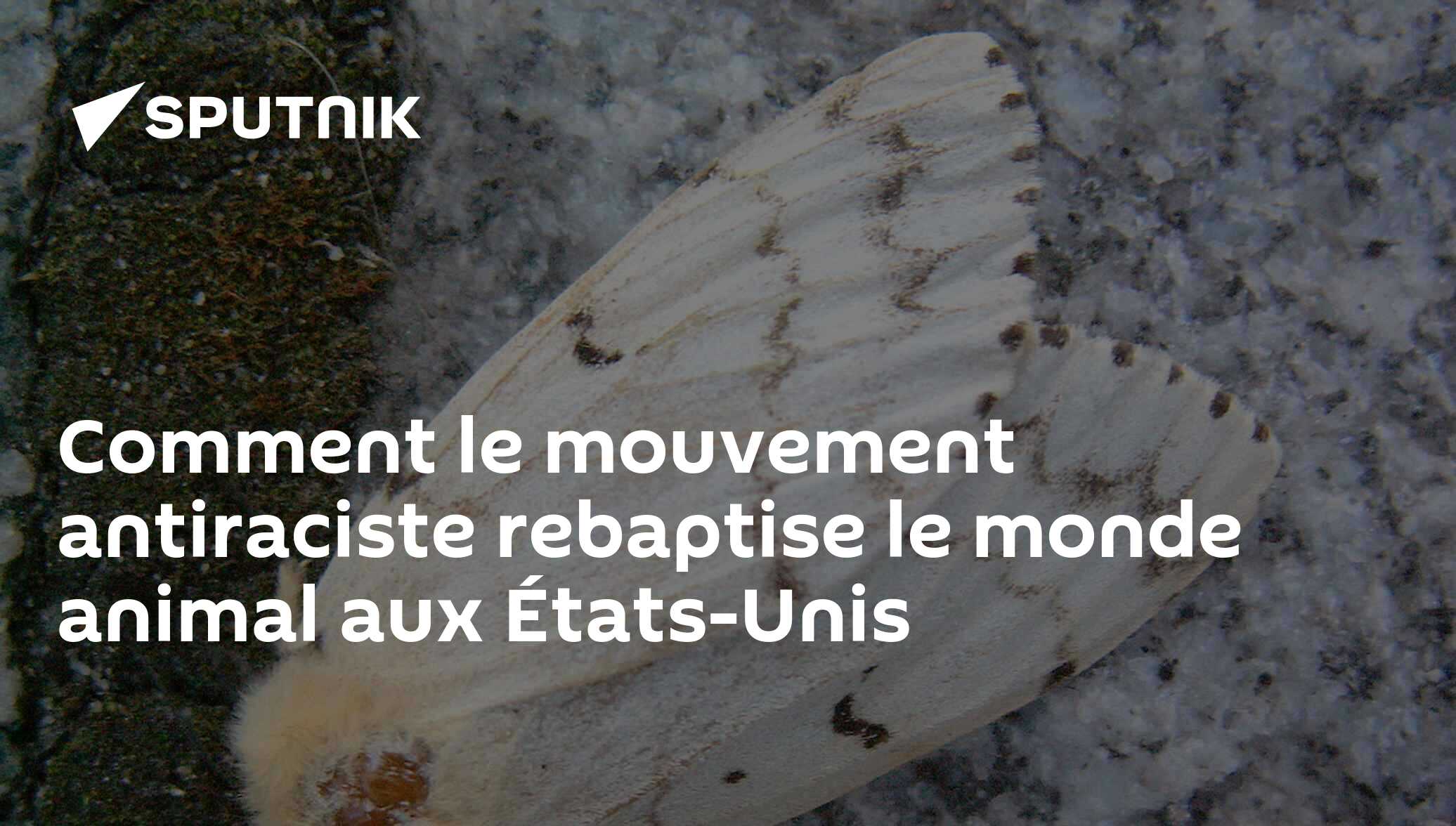 Comment le mouvement antiraciste rebaptise le monde animal aux États-Unis
