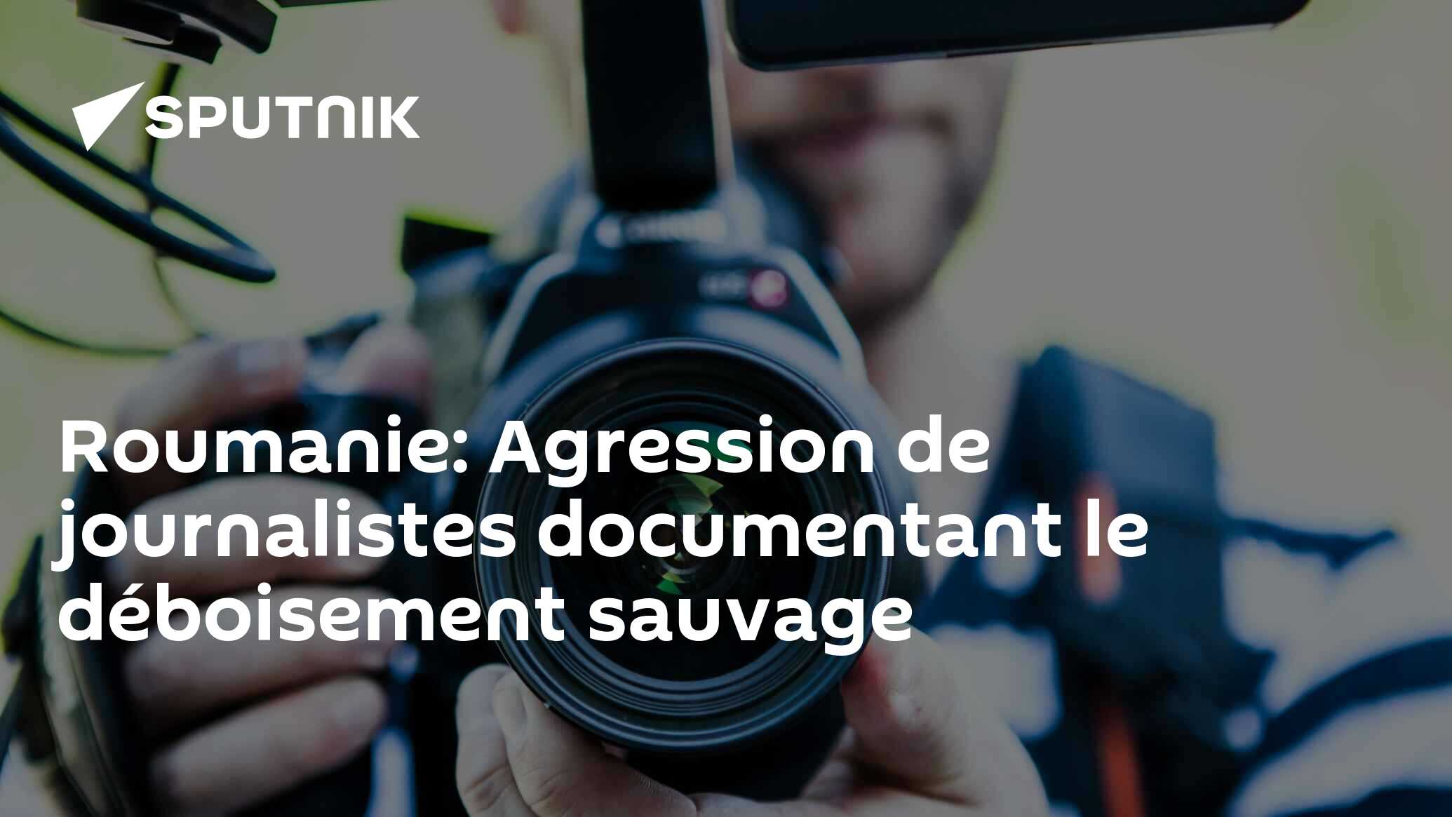 Roumanie: Agression de journalistes documentant le déboisement sauvage