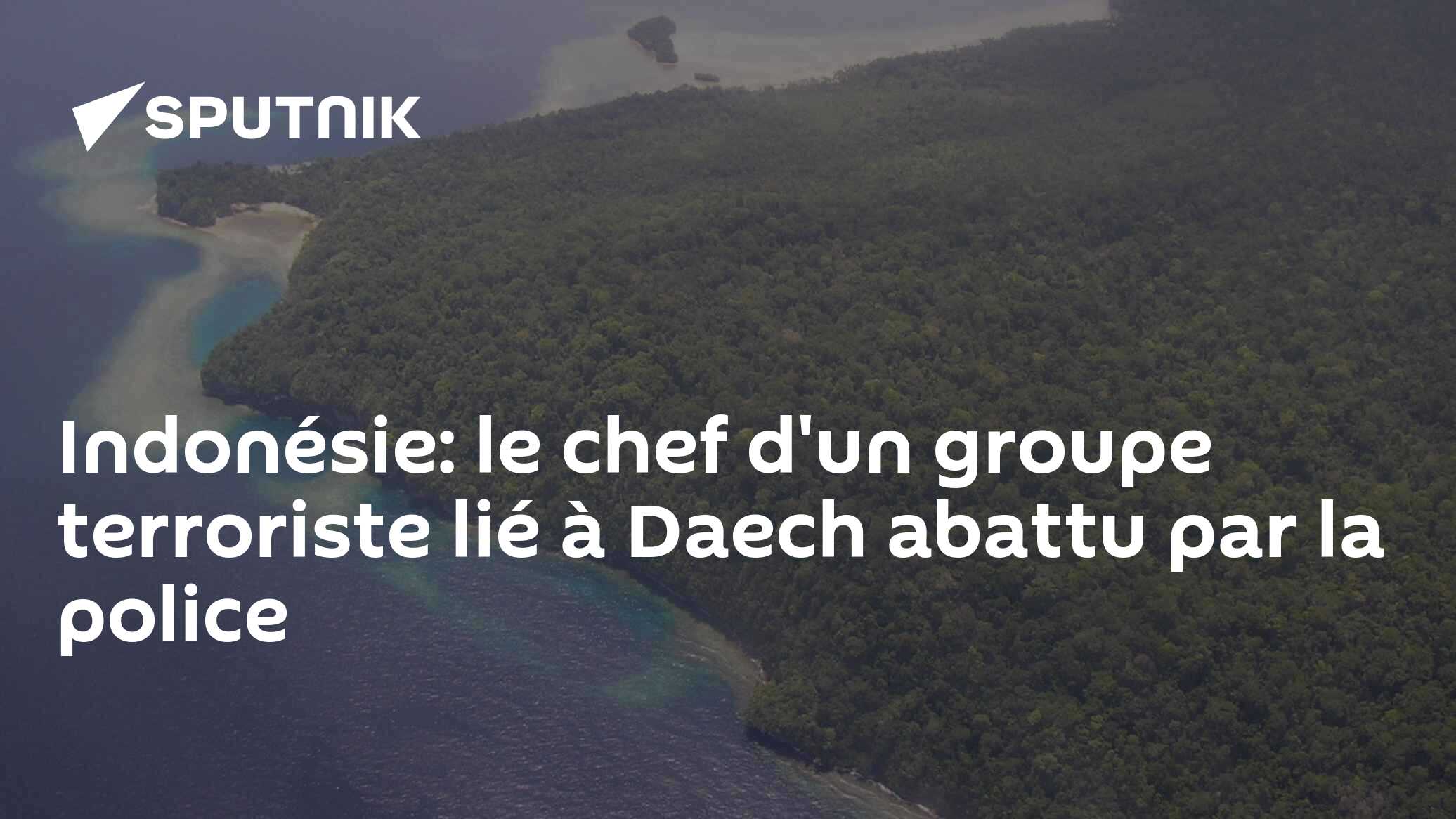 Indonésie: le chef d'un groupe terroriste lié à Daech abattu par la police