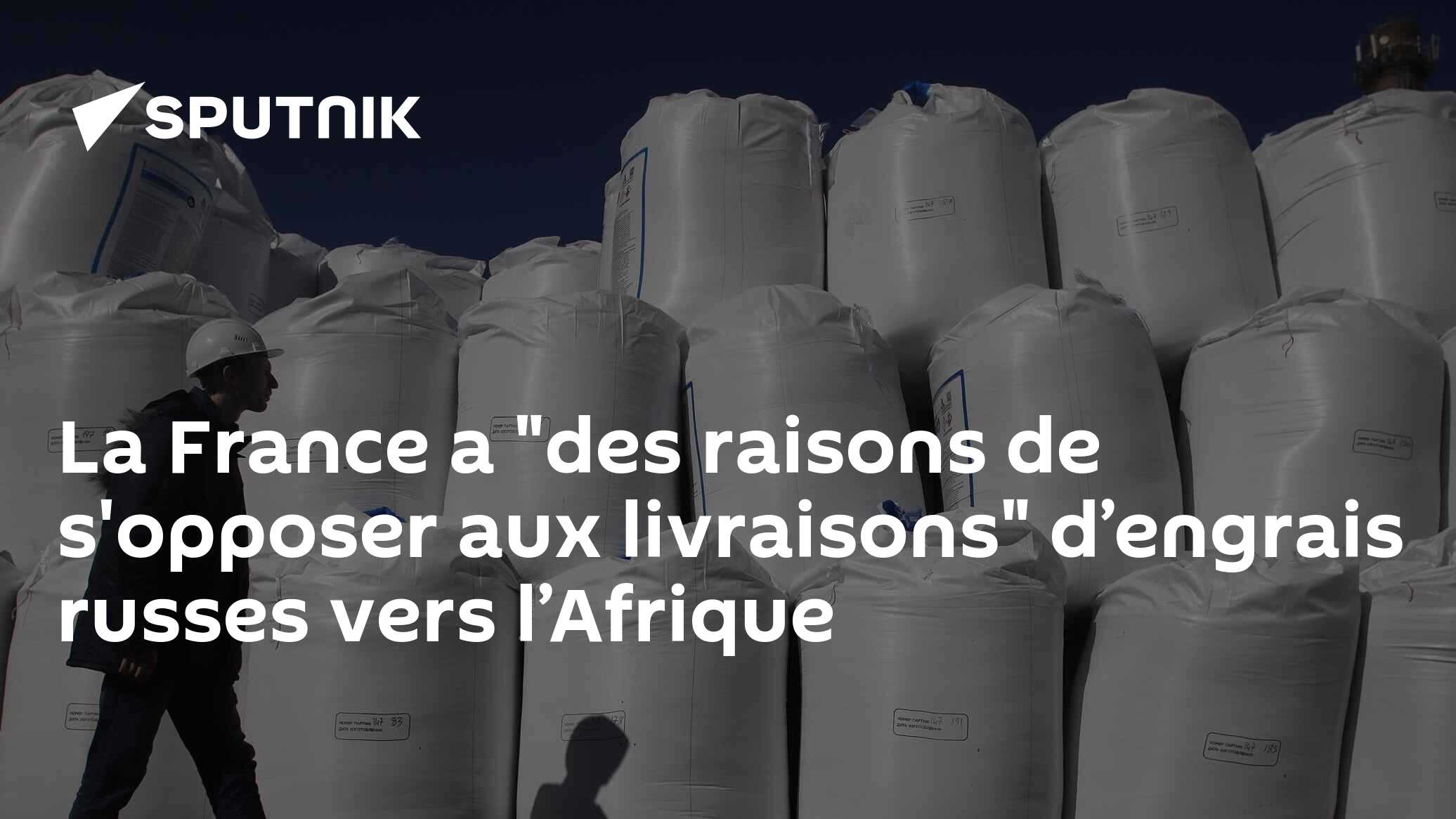 fr.sputniknews.africa