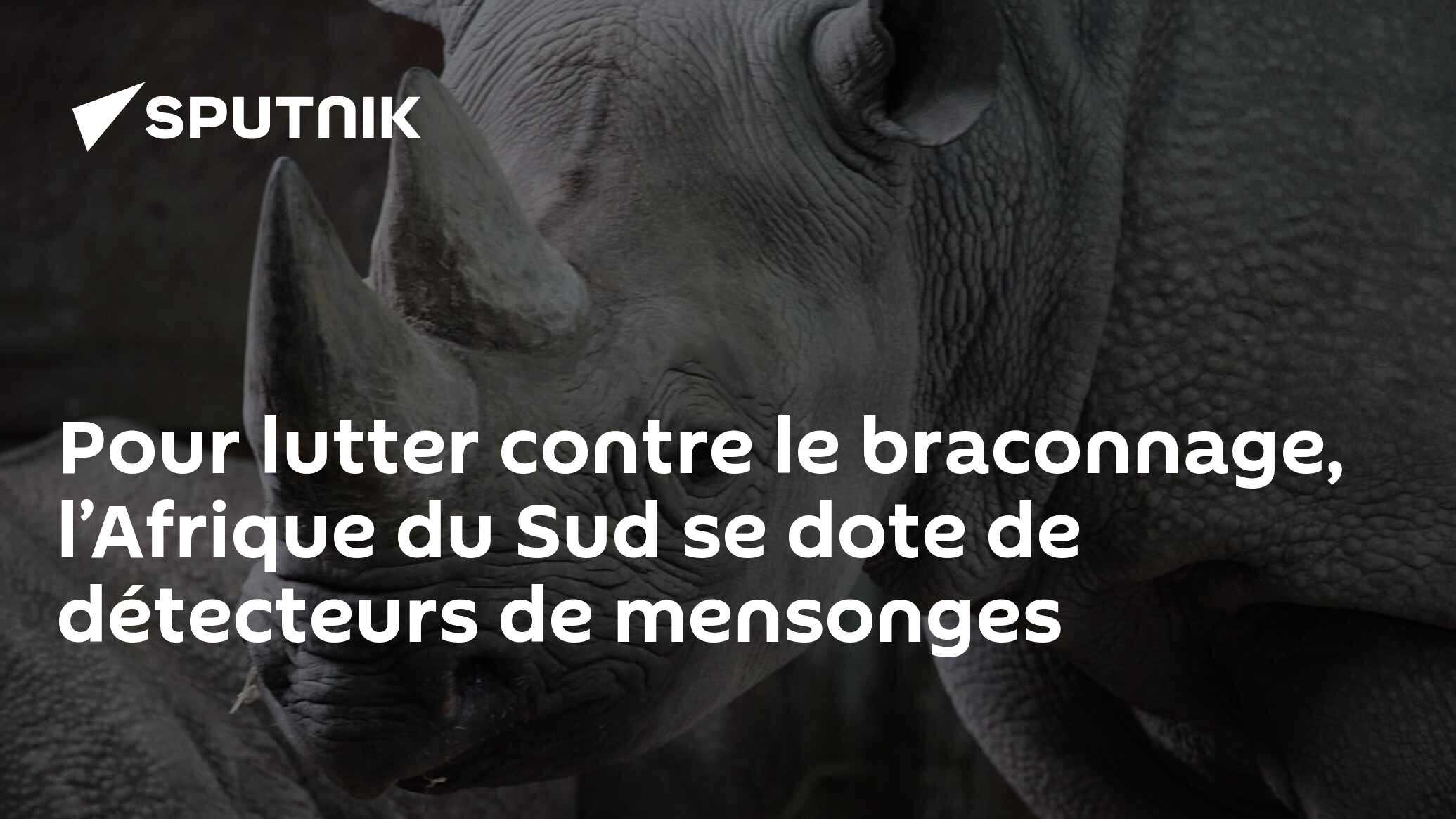 Pour Lutter Contre Le Braconnage, L’Afrique Du Sud Se Dote De ...