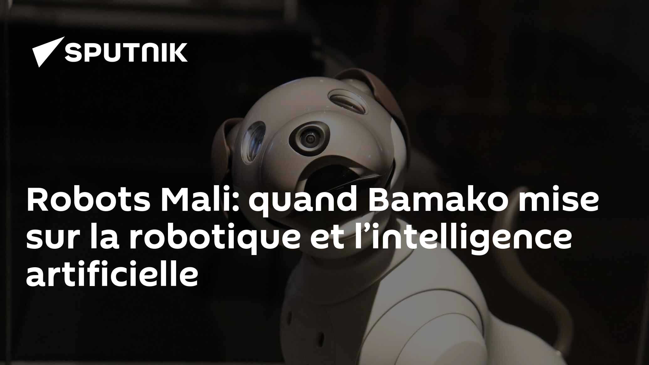 Robots Mali: Quand Bamako Mise Sur La Robotique Et L’intelligence ...