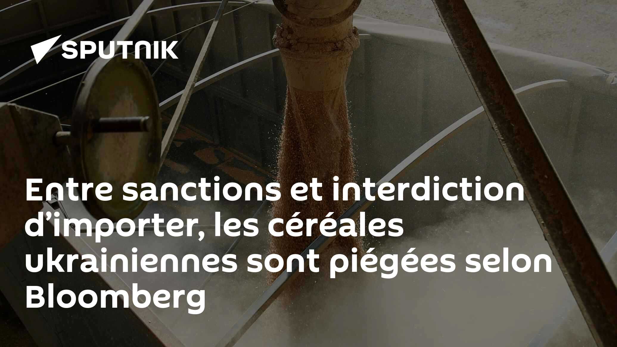 Entre sanctions et interdiction d’importer, les céréales ukrainiennes sont piégées selon Bloomberg