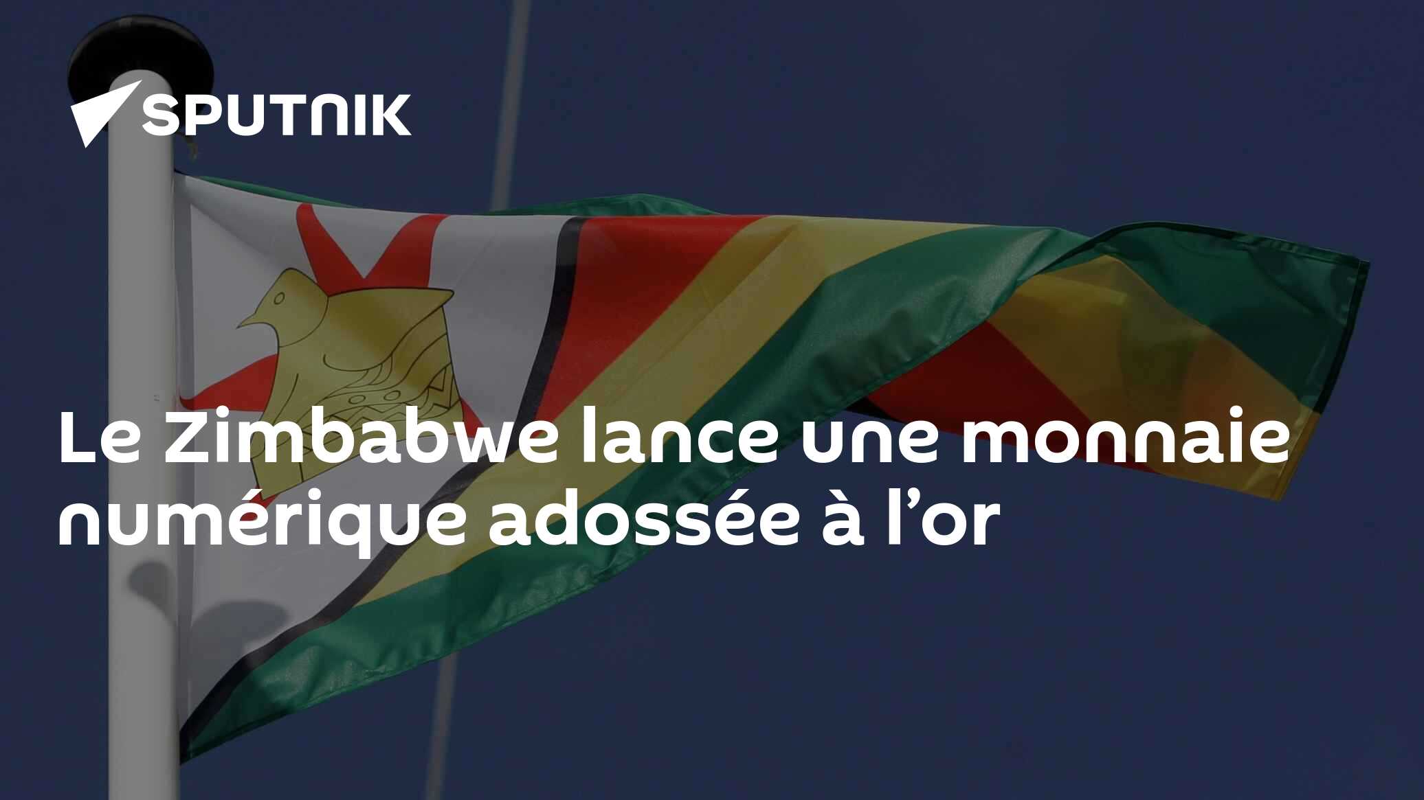 Le Zimbabwe Lance Une Monnaie Numérique Adossée à Lor 08052023 Sputnik Afrique 7557