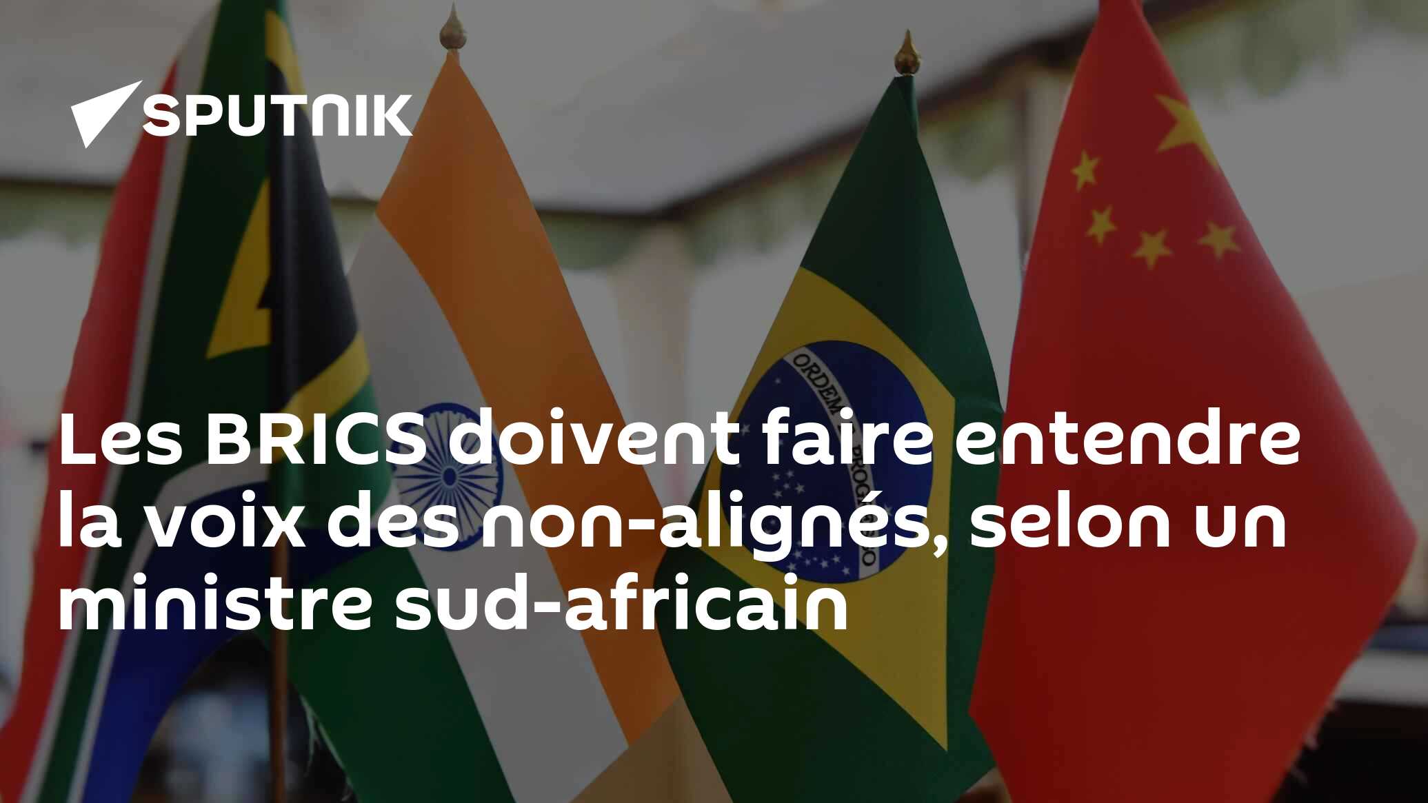 Les BRICS doivent faire entendre la voix des non-alignés, selon un ministre sud-africain