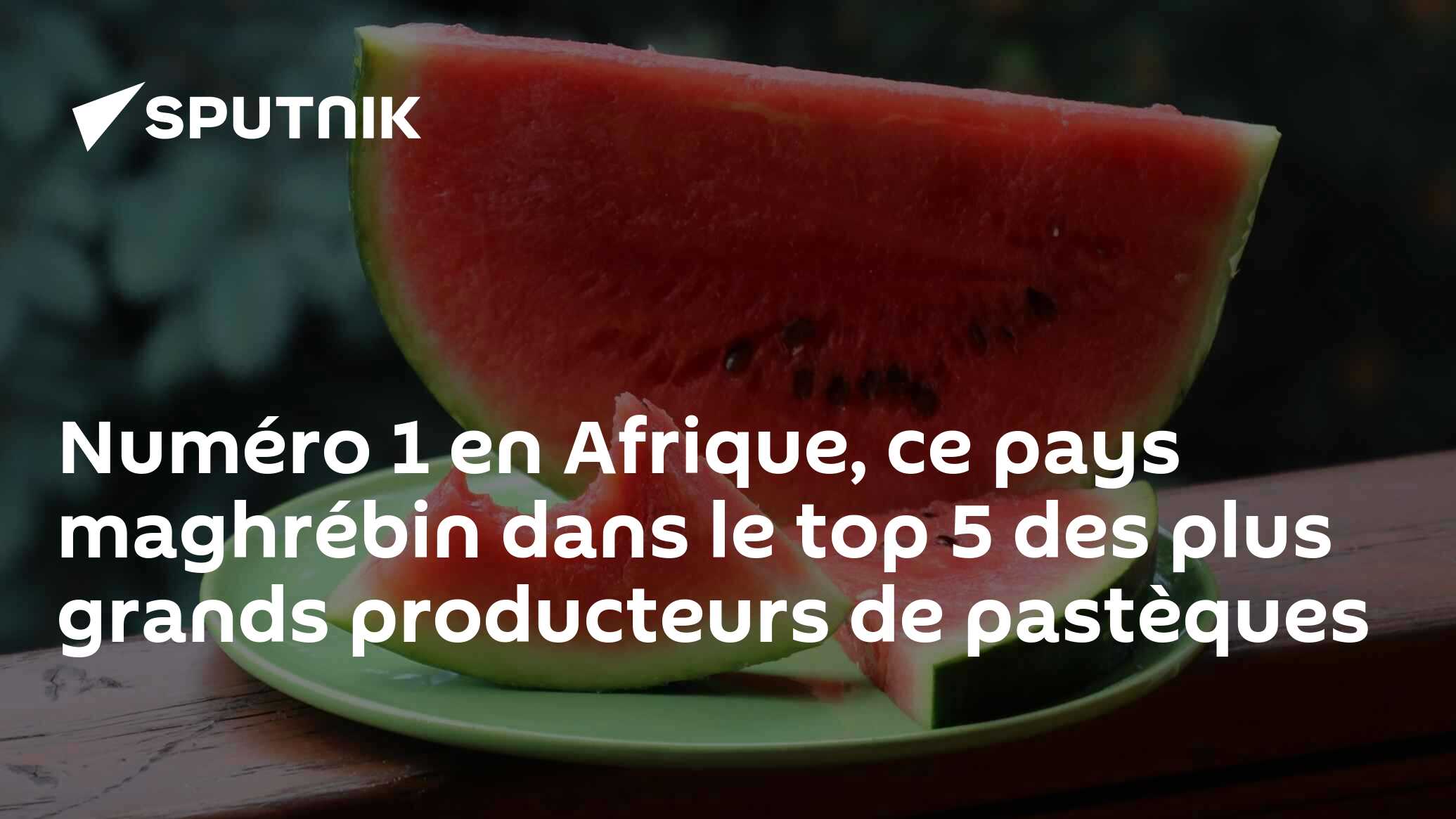 Numéro 1 En Afrique Ce Pays Maghrébin Dans Le Top 5 Des Plus Grands Producteurs De Pastèques 5878