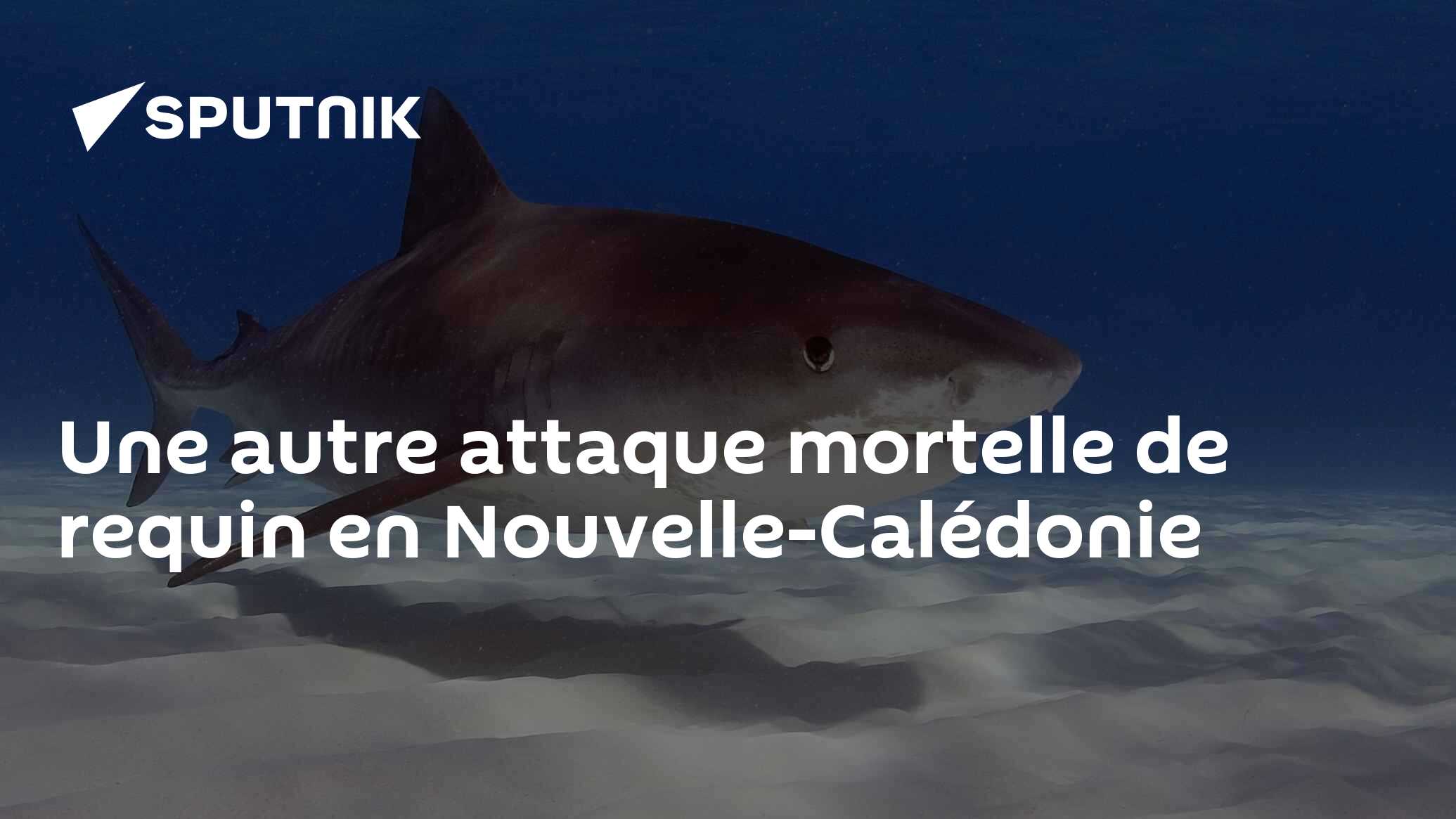 Nouvelle-Calédonie : attaque mortelle de requin