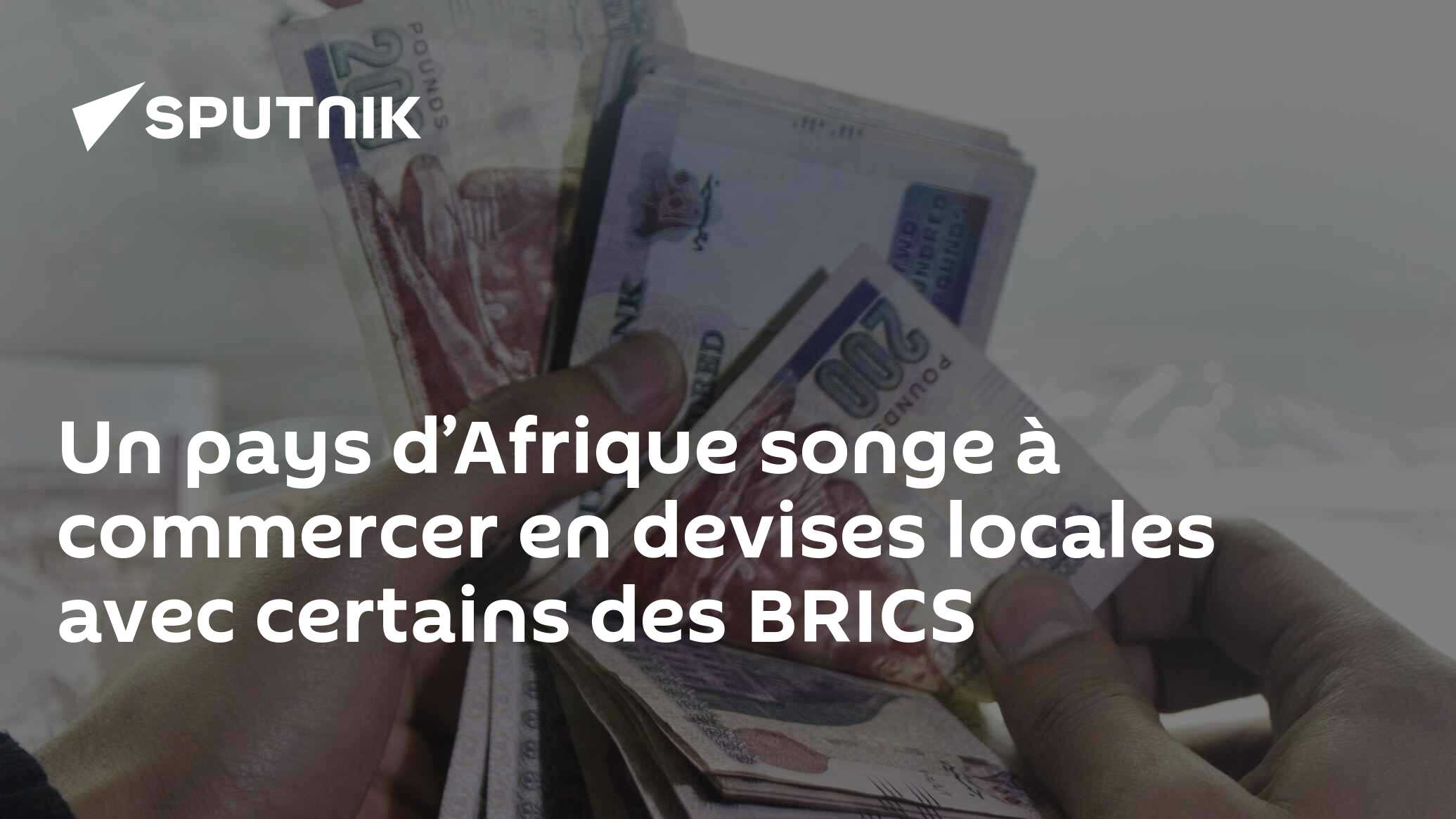 Un pays d’Afrique songe à commercer en devises locales avec certains des BRICS