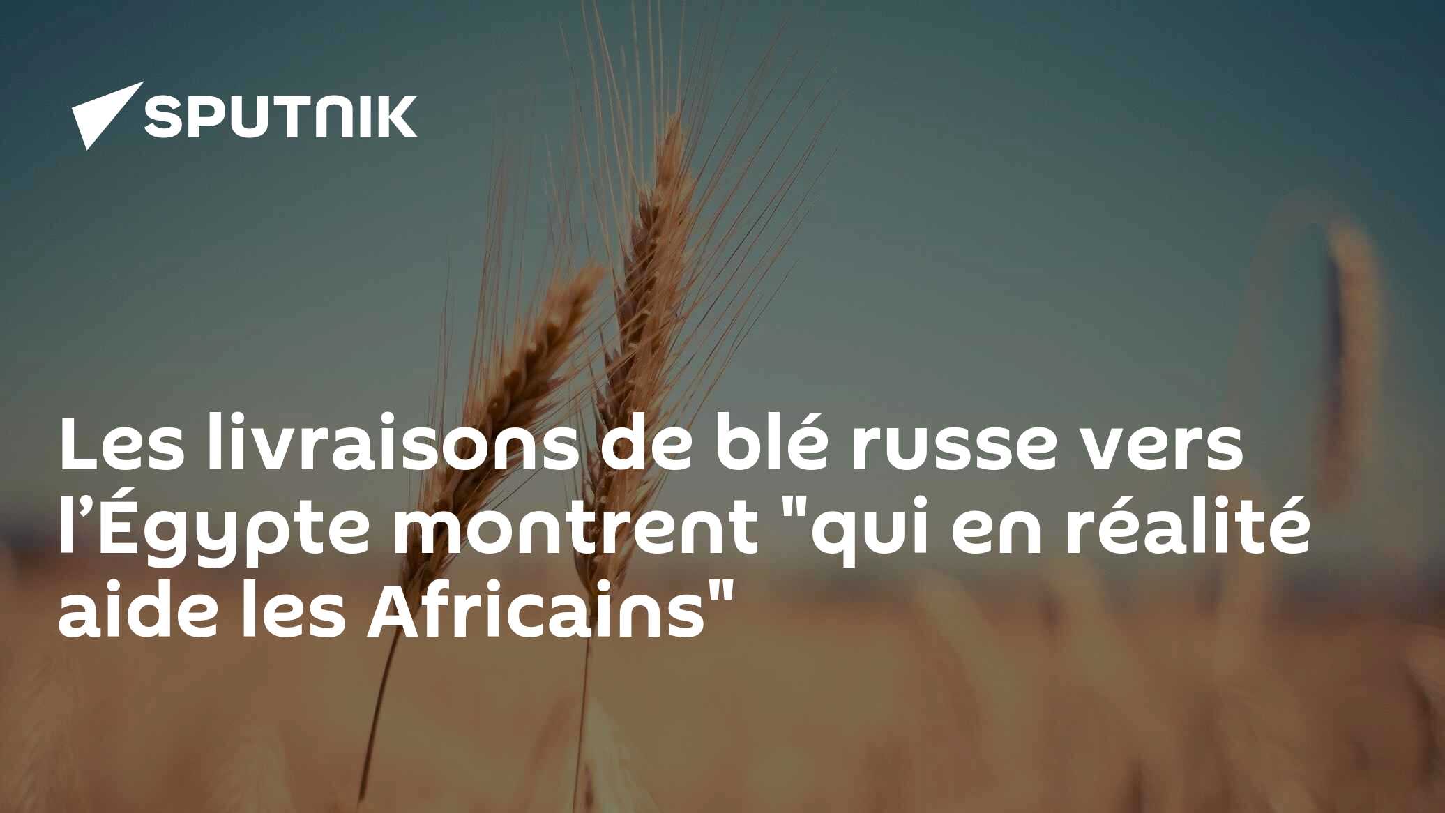 Les livraisons de blé russe vers l’Égypte montrent "qui en réalité aide les Africains"