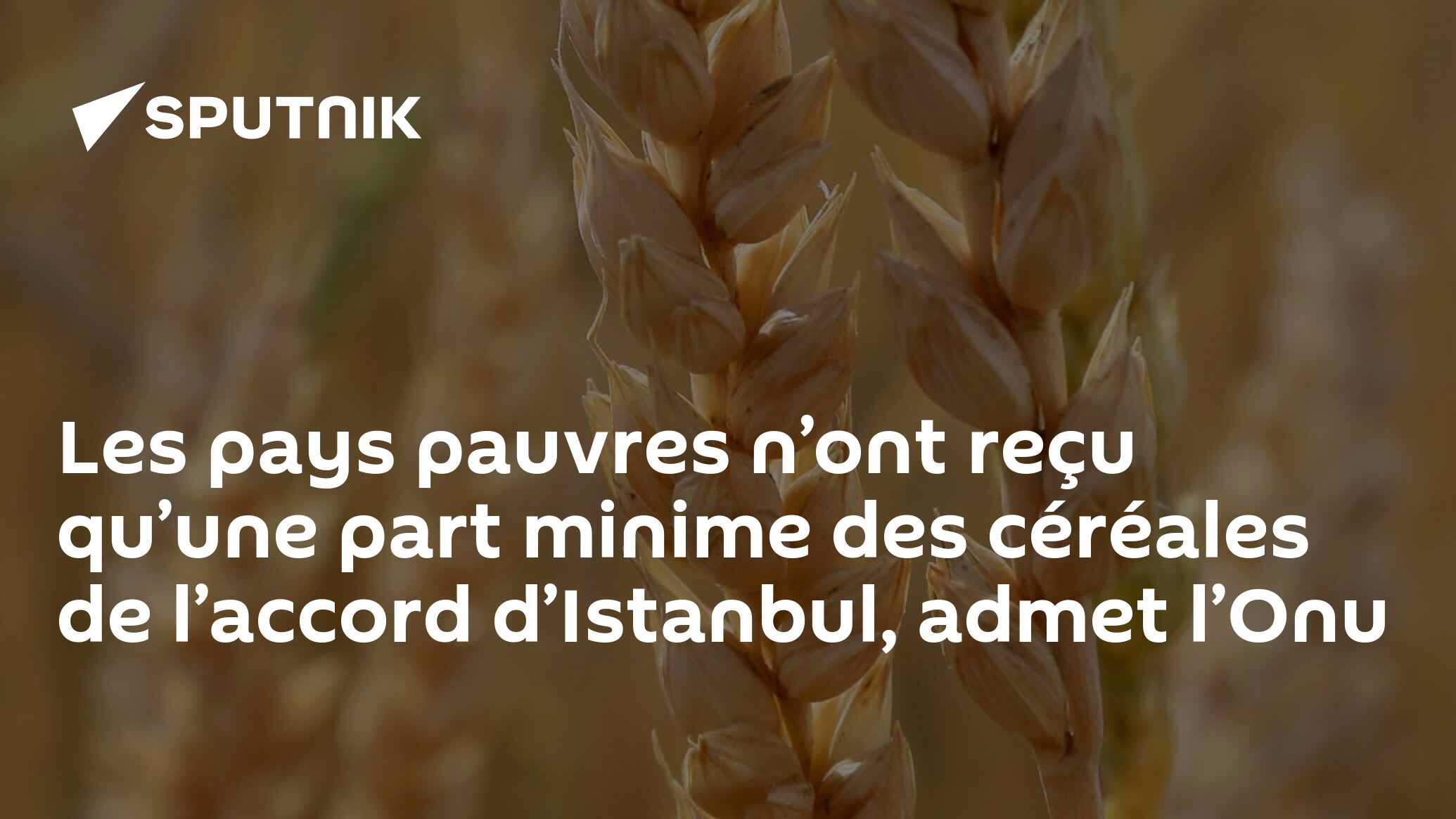 Les pays pauvres n’ont reçu qu’une part minime des céréales de l’accord d’Istanbul, admet l’Onu