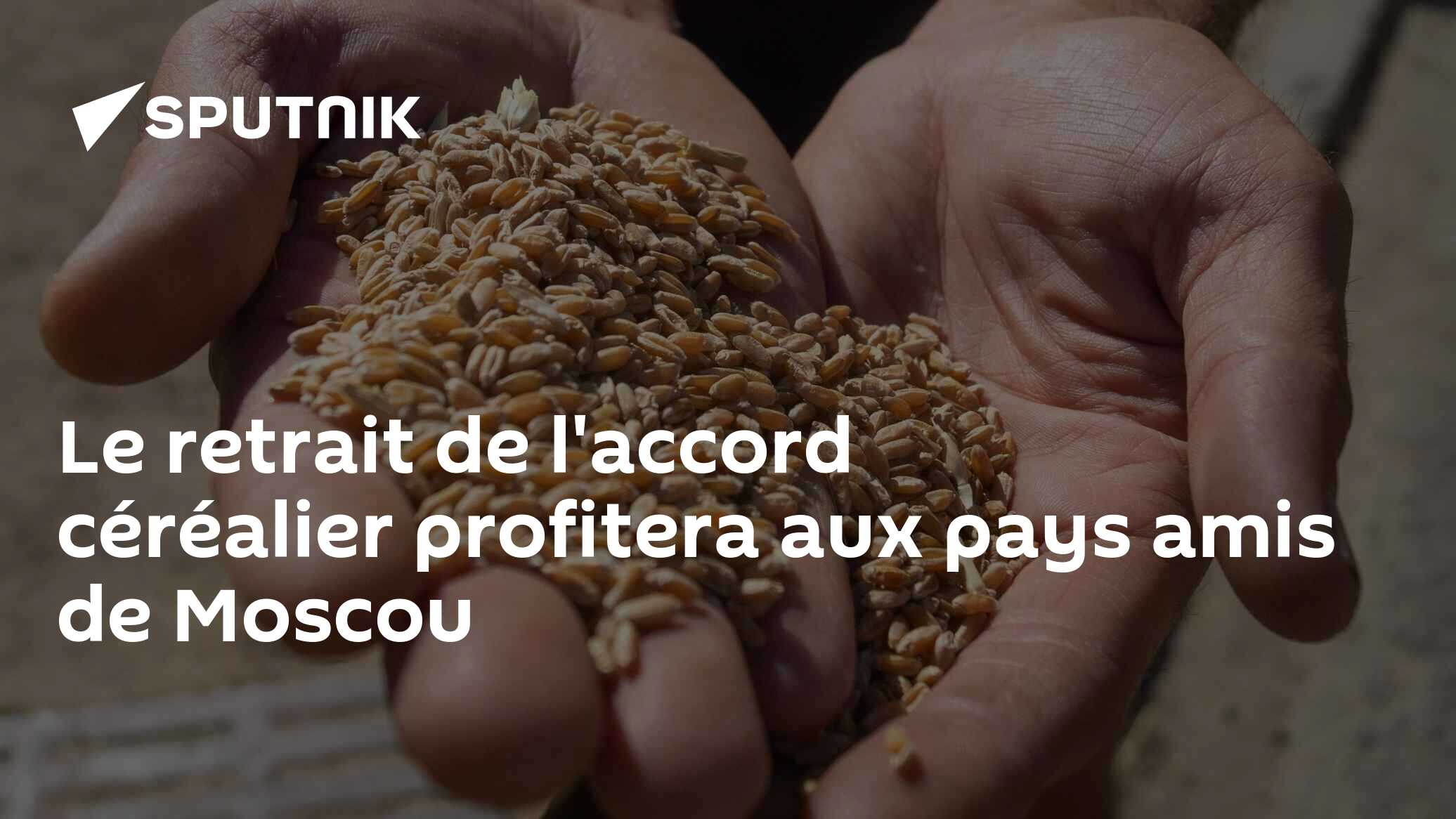 Le retrait de l'accord céréalier profitera aux pays amis de Moscou