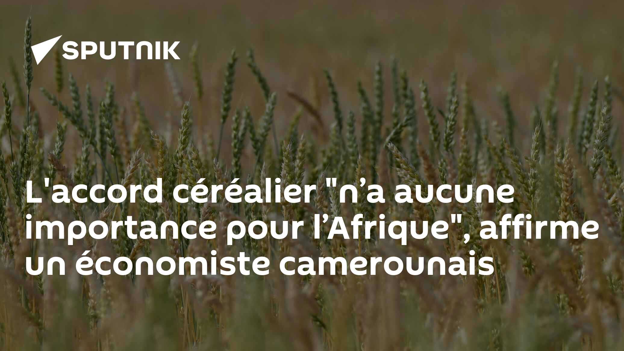 L'accord céréalier "n’a aucune importance pour l’Afrique", affirme un économiste camerounais