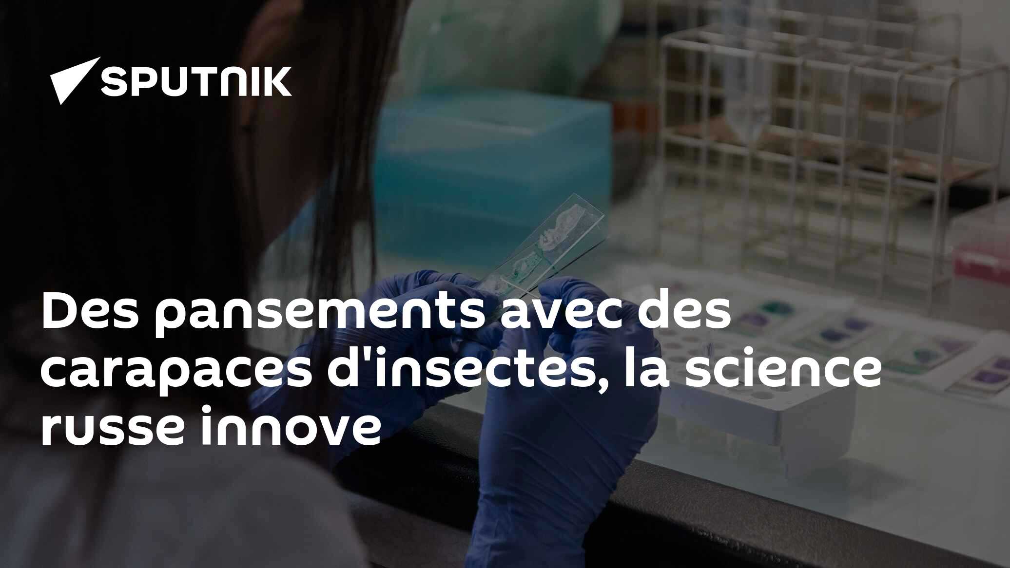 Des pansements avec des carapaces d'insectes, la science russe innove