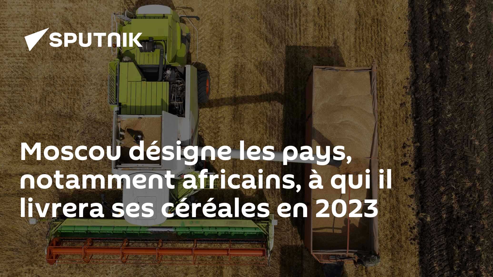 Moscou désigne les pays, notamment africains, à qui il livrera ses céréales en 2023