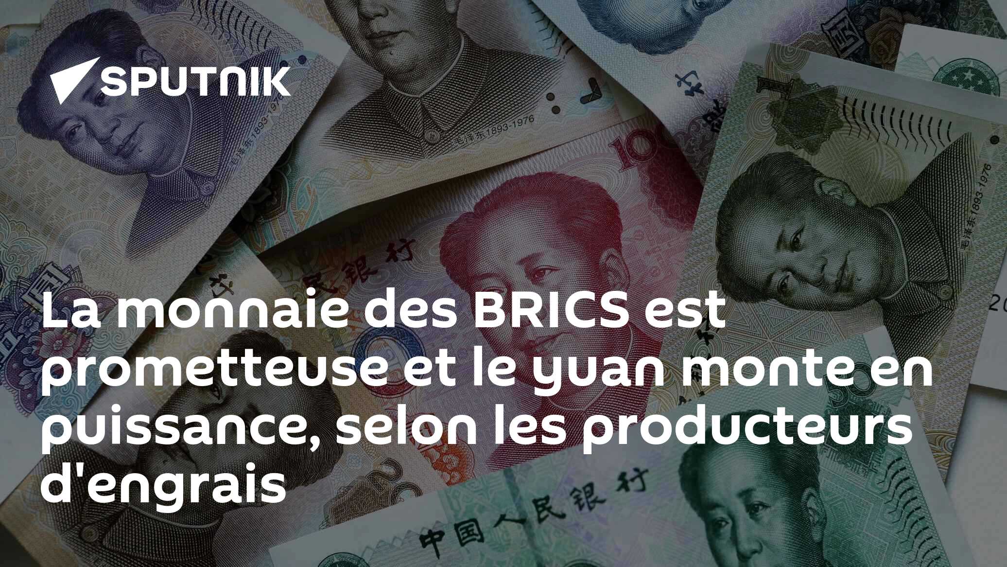 La monnaie des BRICS est prometteuse et le yuan monte en puissance, selon les producteurs d'engrais